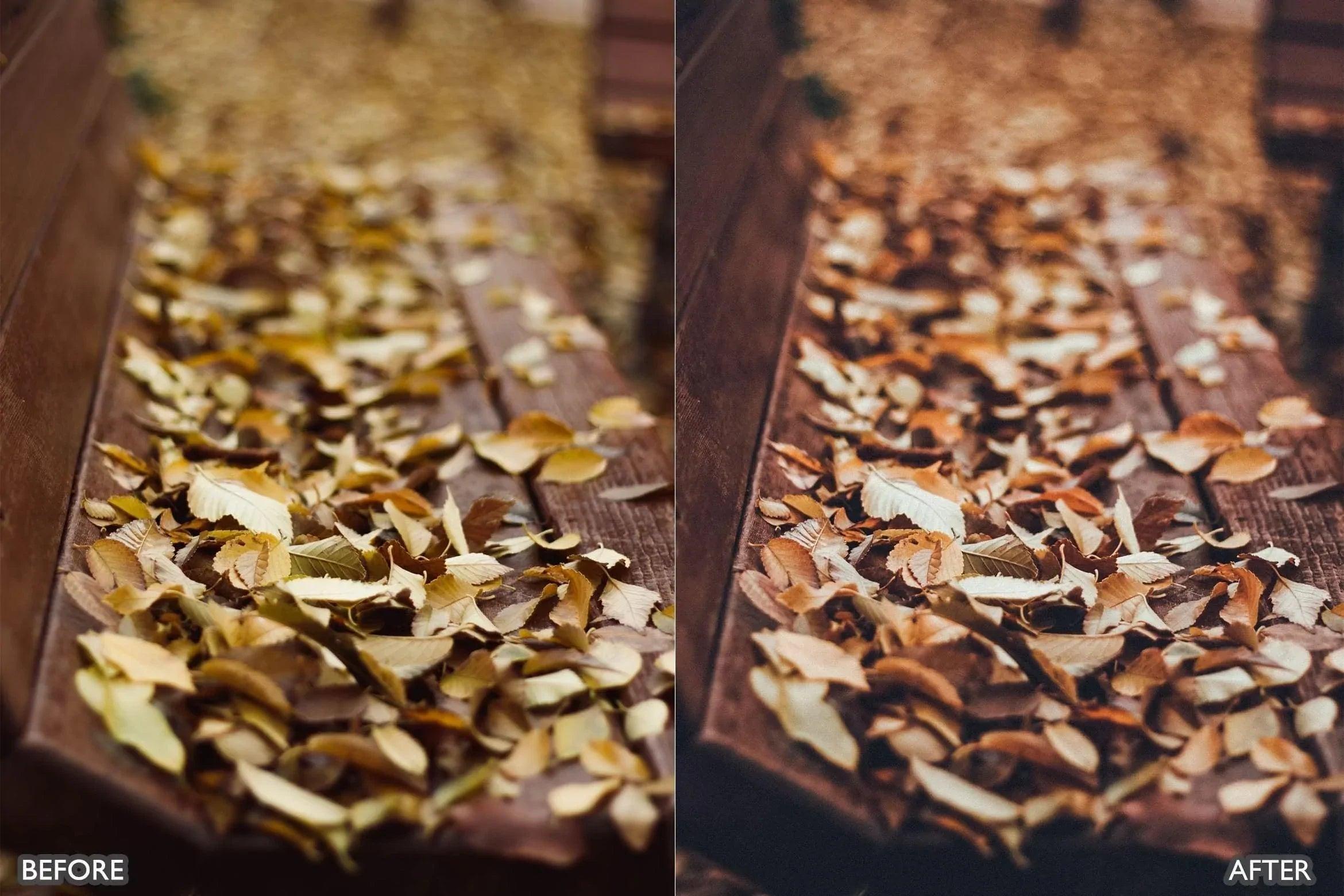 Autumn Fall Vibrant Lightroom Presets - Lightroom Presets - by AAA Presets