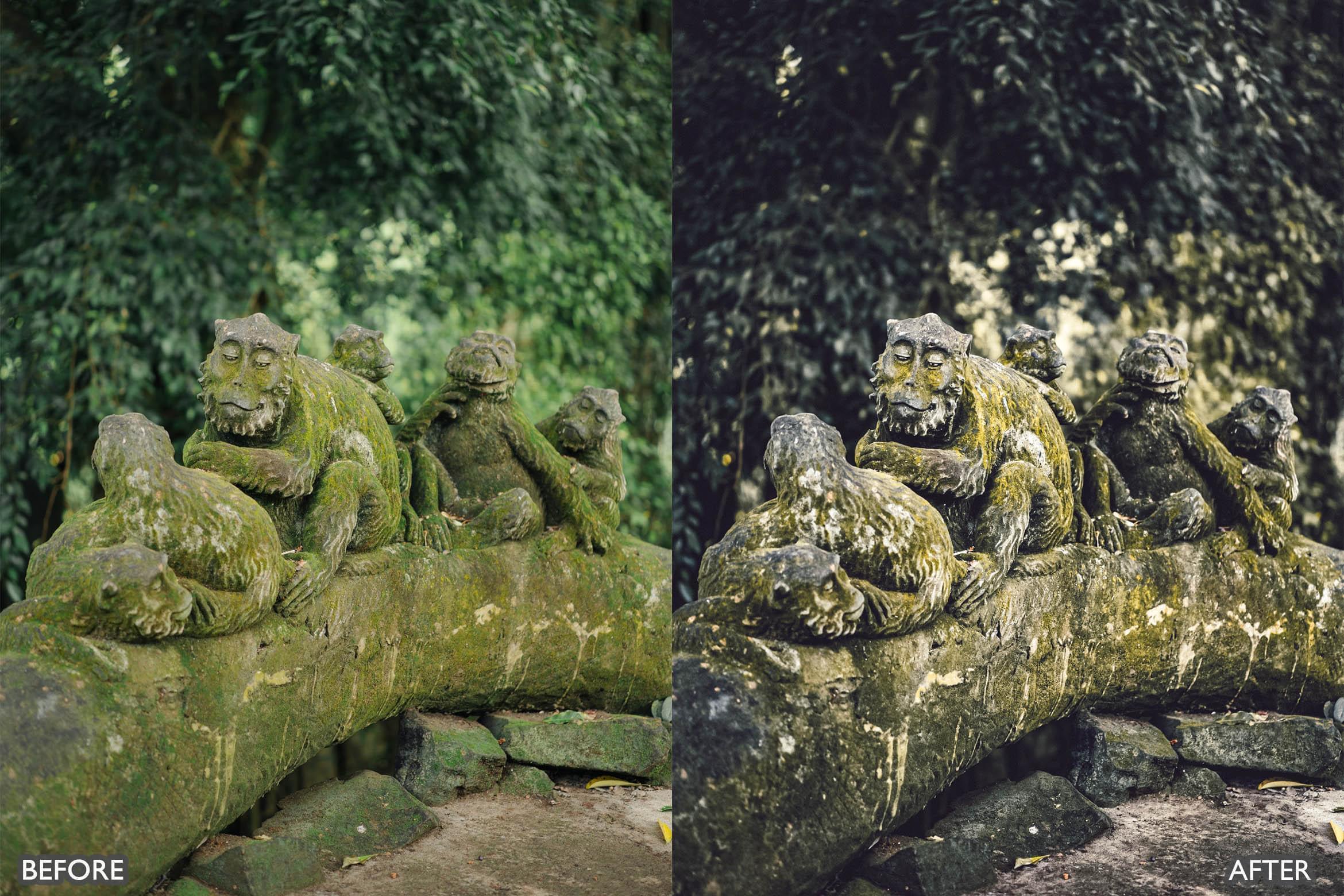 Bali Moody Green Lightroom Presets - Lightroom Presets - by AAA Presets