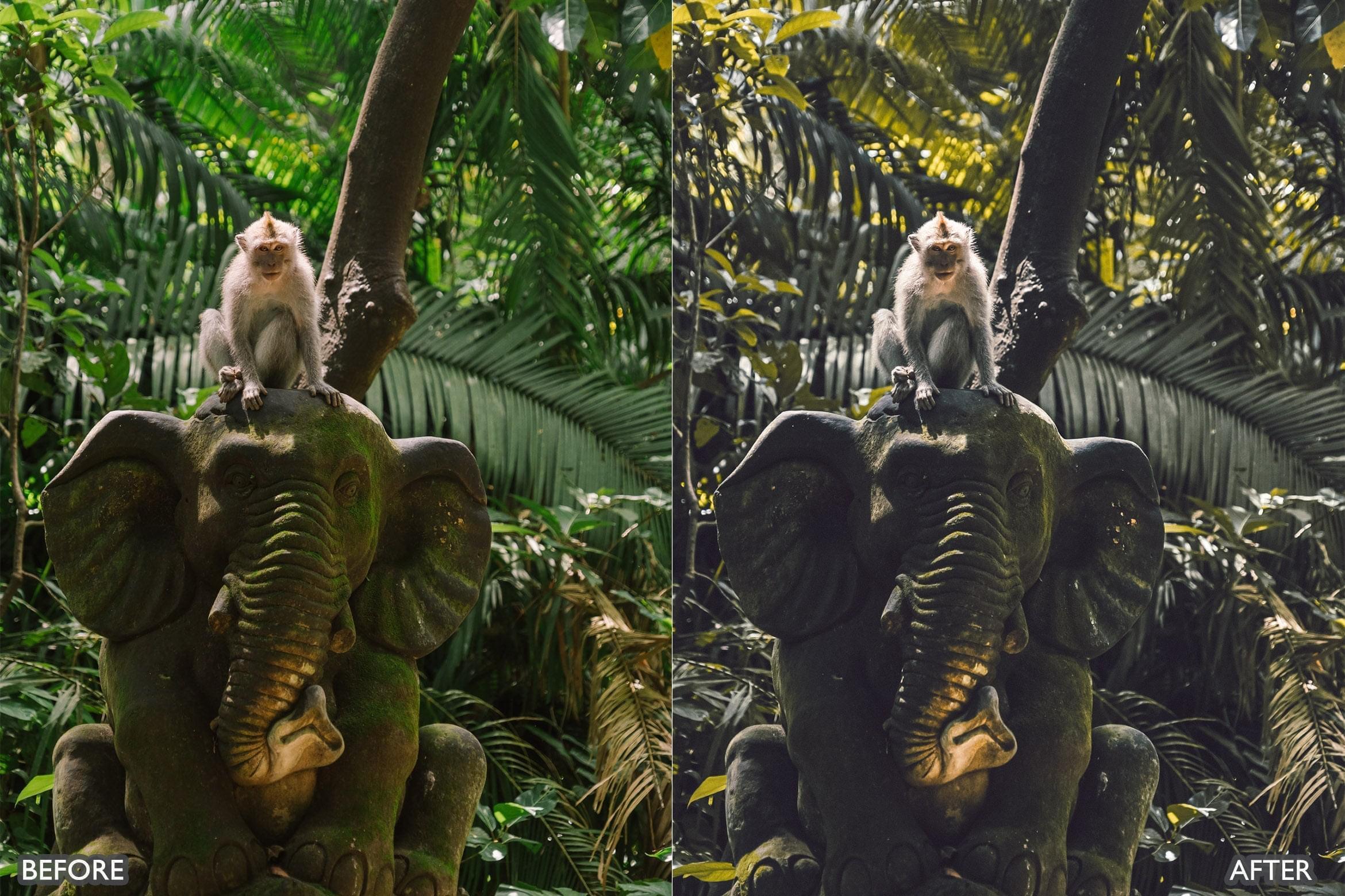 Bali Moody Green Lightroom Presets - Lightroom Presets - by AAA Presets