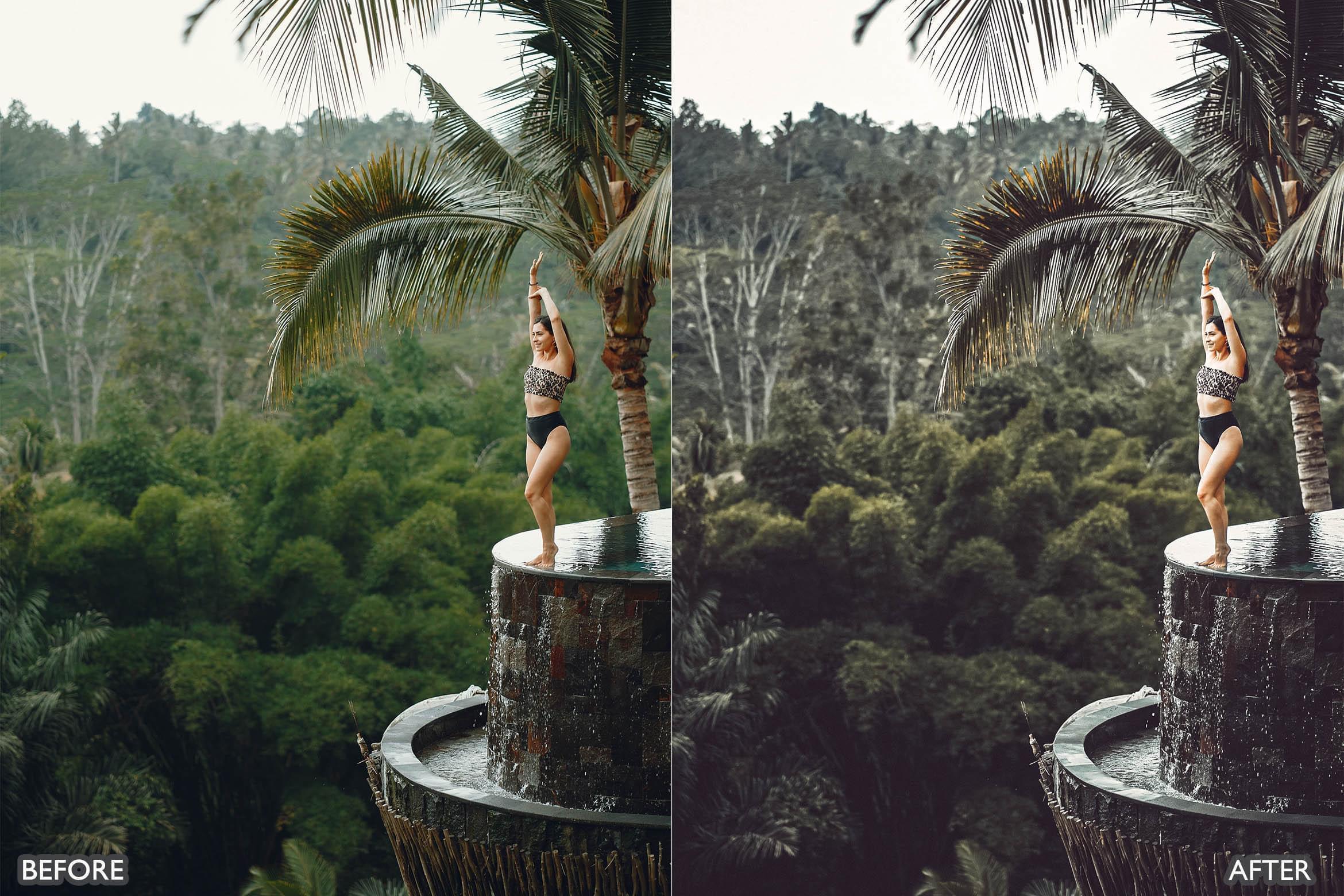 Bali Moody Green Lightroom Presets - Lightroom Presets - by AAA Presets