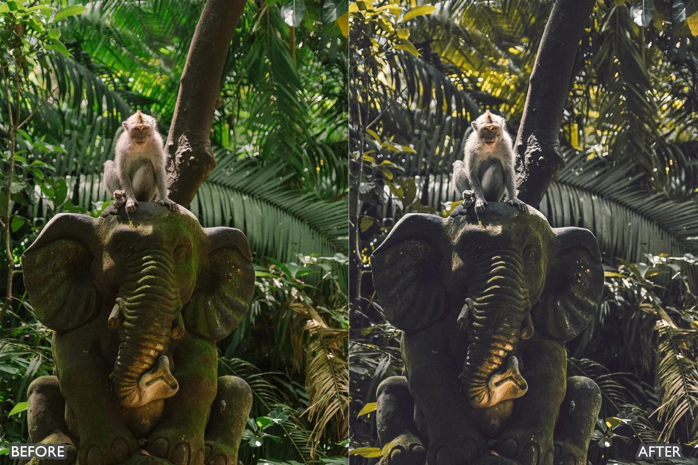 Bali Moody Green Lightroom Presets - Lightroom Presets - by AAA Presets