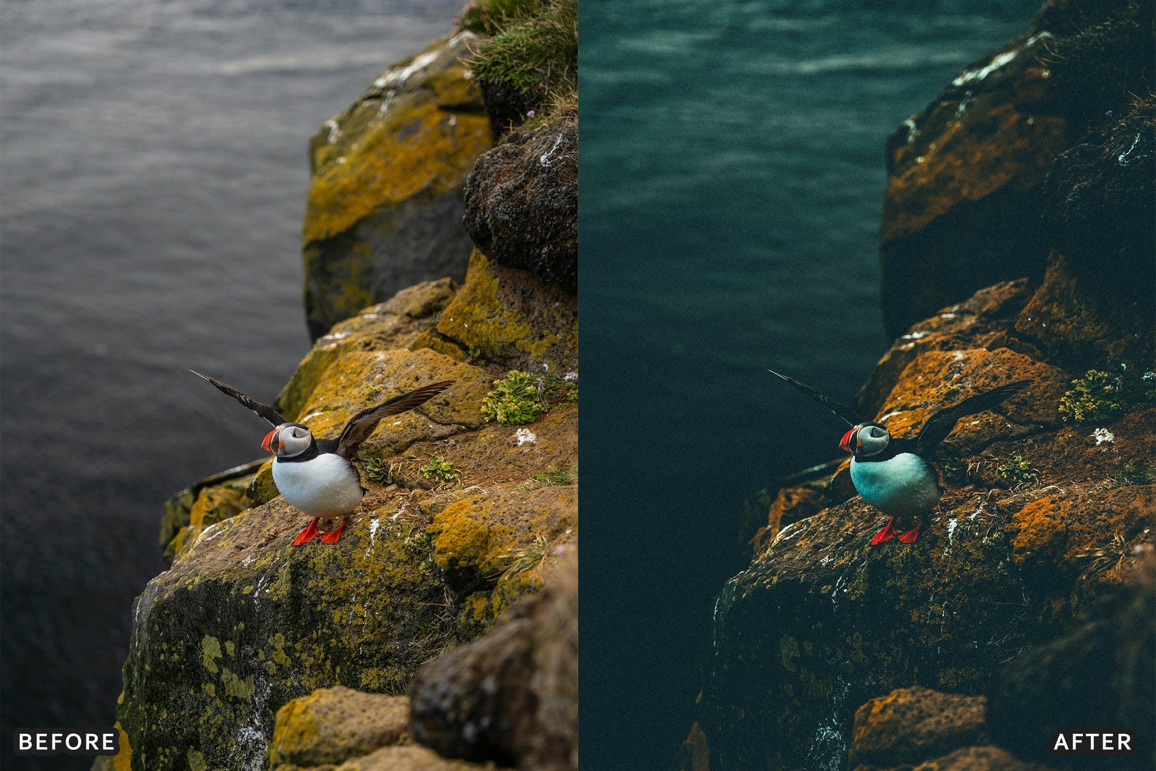 Bird Photography Wildlife Cinematic Lightroom Presets - Lightroom Presets - by AAA Presets