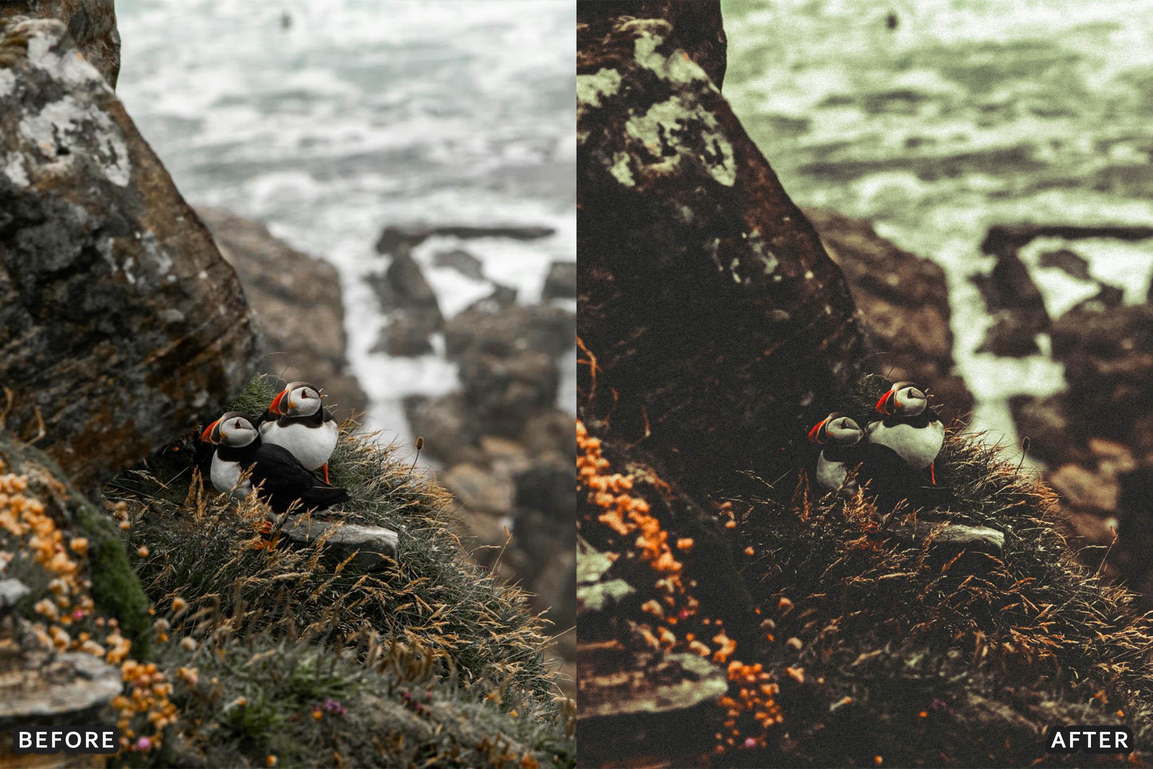 Bird Photography Wildlife Cinematic Lightroom Presets - Lightroom Presets - by AAA Presets