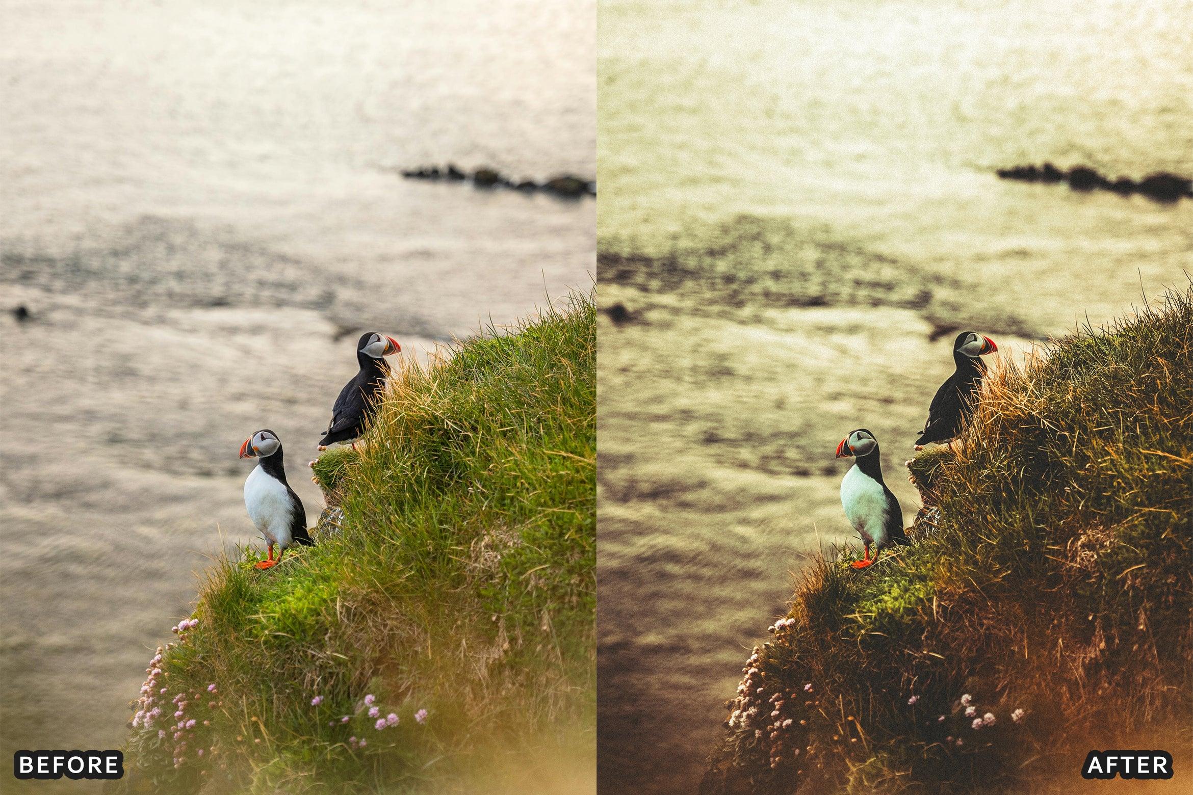 Bird Photography Wildlife Cinematic Lightroom Presets - Lightroom Presets - by AAA Presets