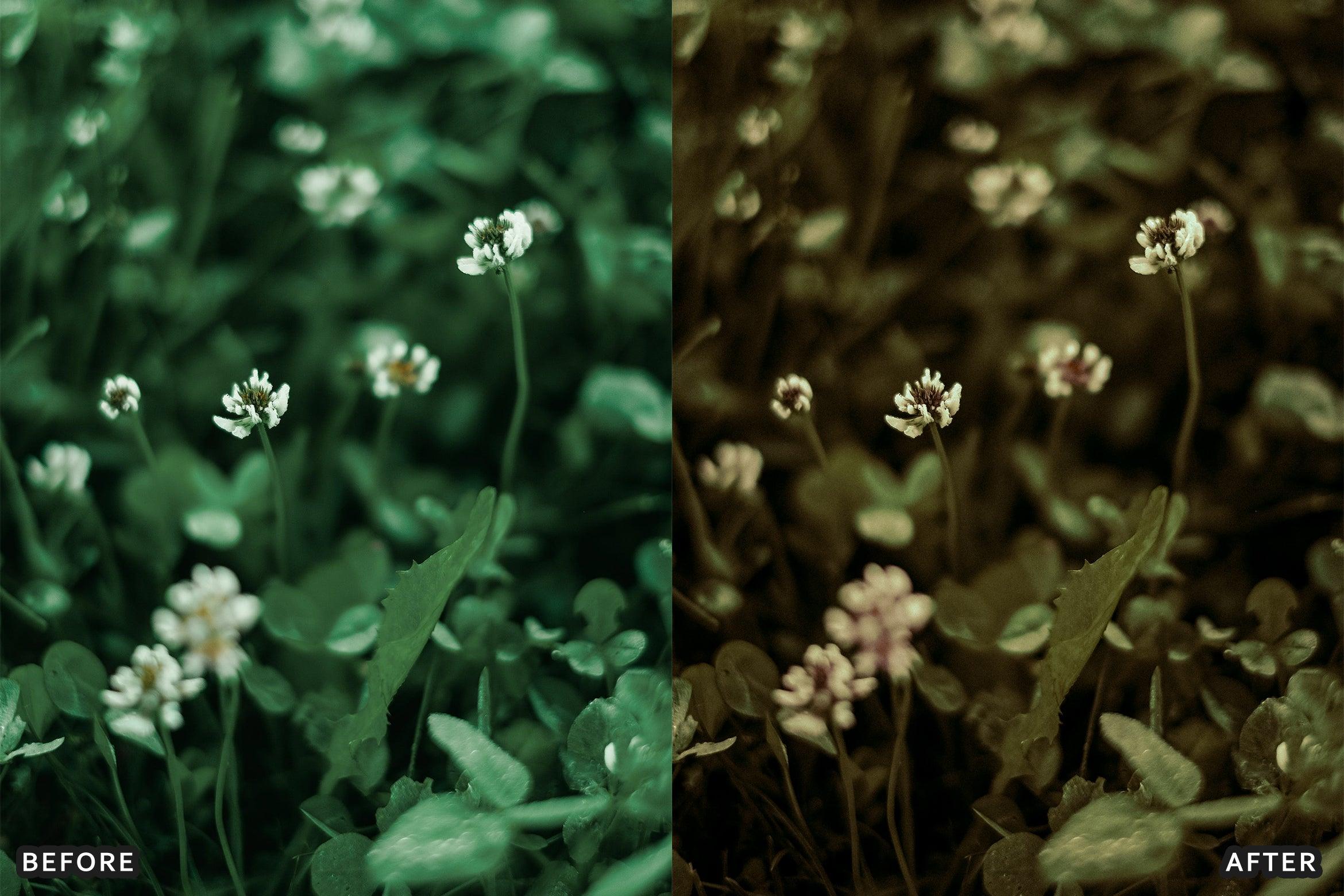 Bohemian Brown Look Instagram Lightroom Presets - Lightroom Presets - by AAA Presets