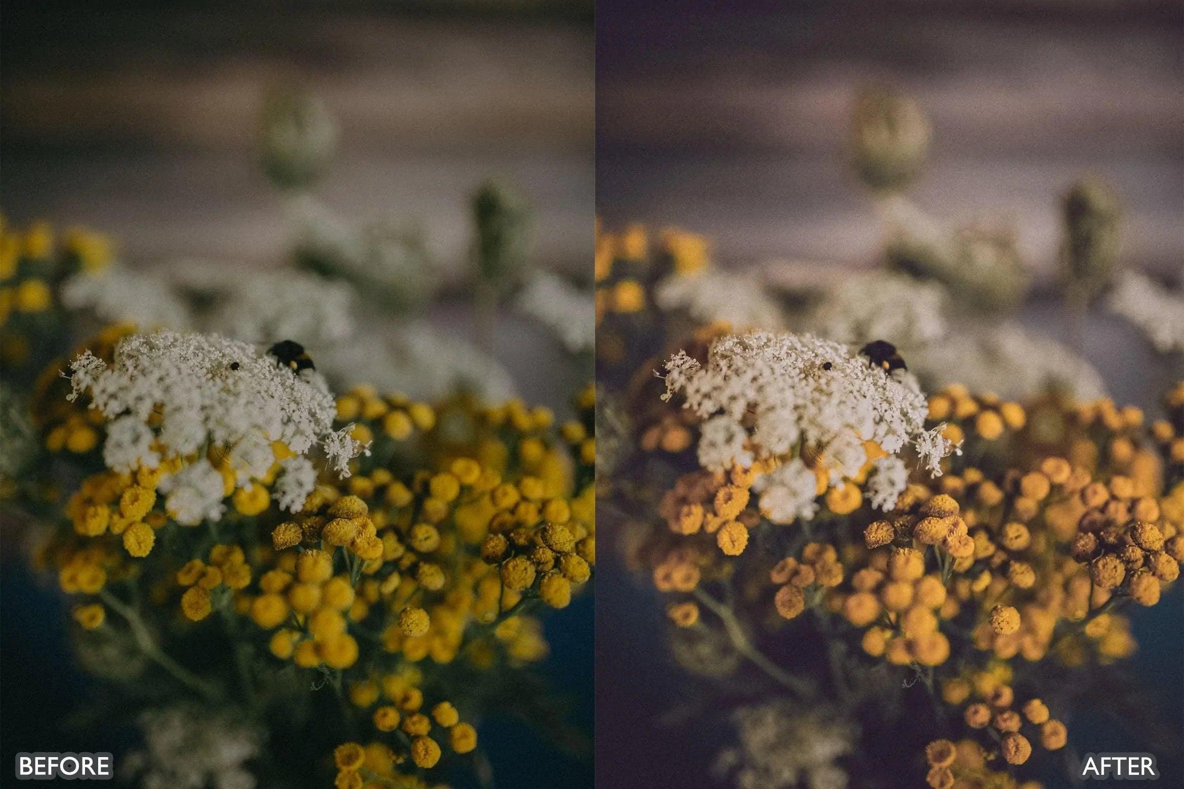 Bright Natural Lightroom Presets - Lightroom Presets - by AAA Presets