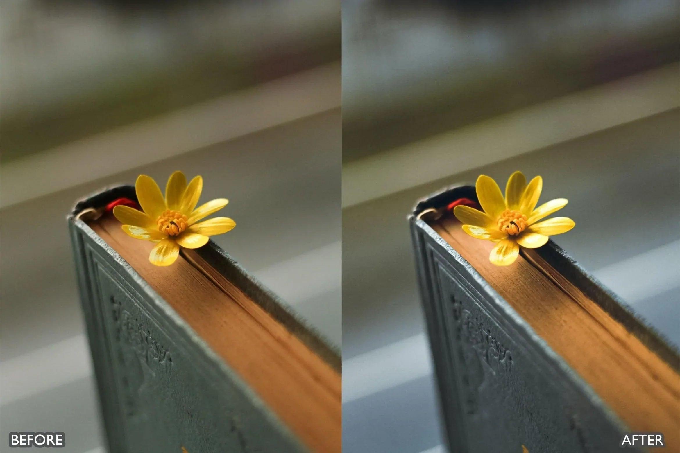 Bright Natural Lightroom Presets - Lightroom Presets - by AAA Presets