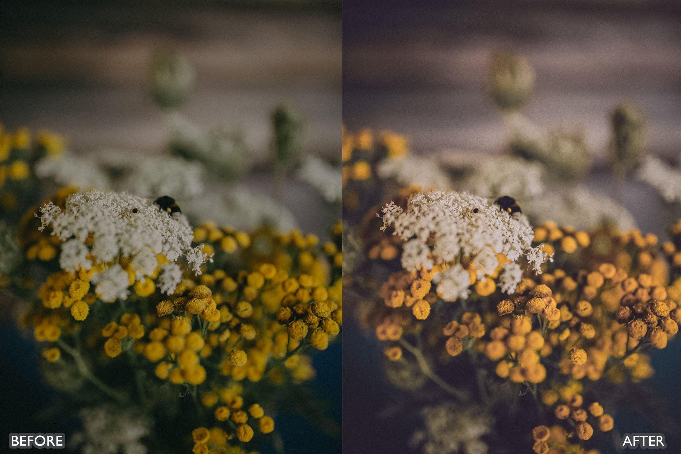 Bright Natural Lightroom Presets - Lightroom Presets - by AAA Presets