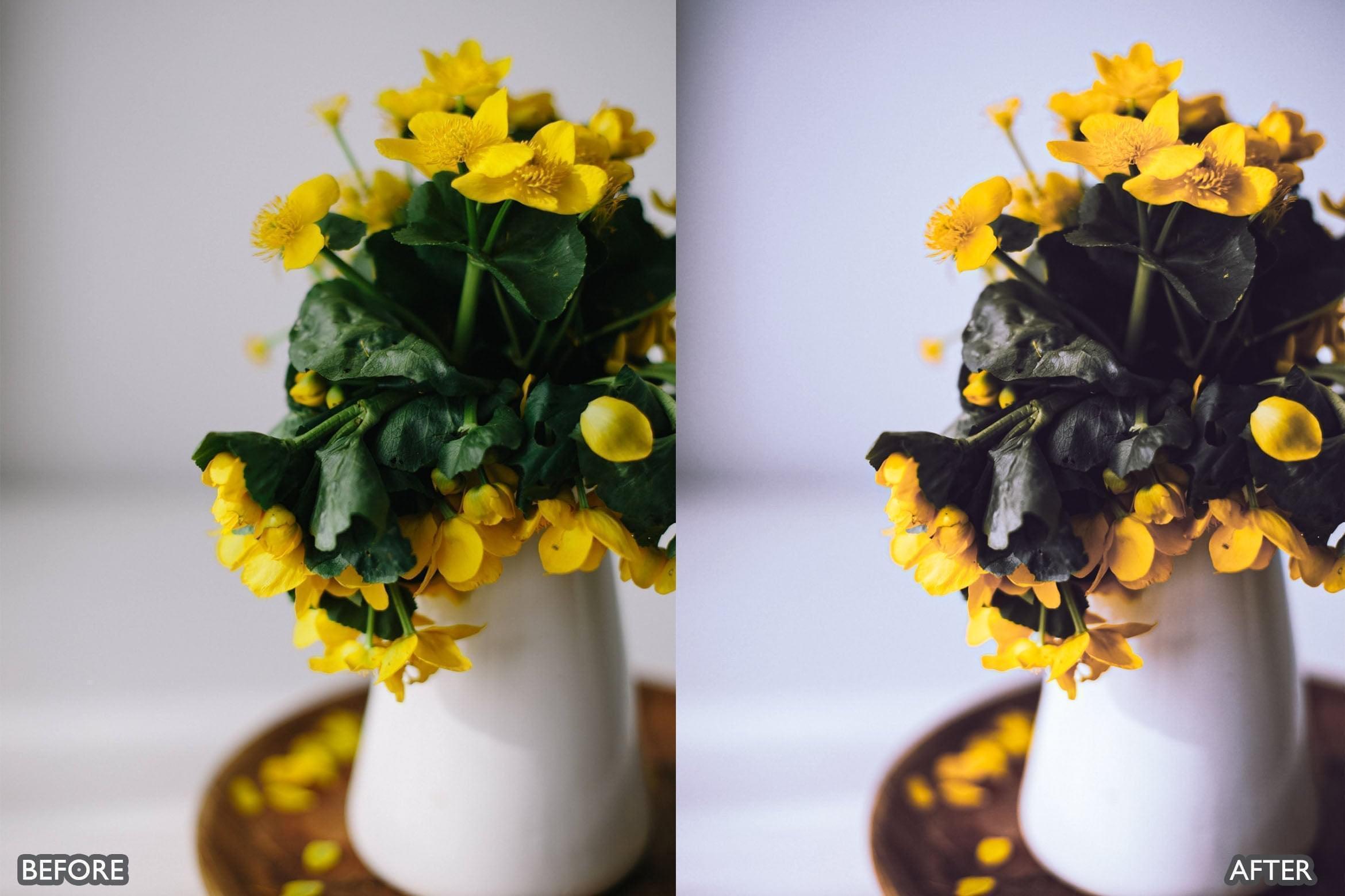 Bright Natural Lightroom Presets - Lightroom Presets - by AAA Presets