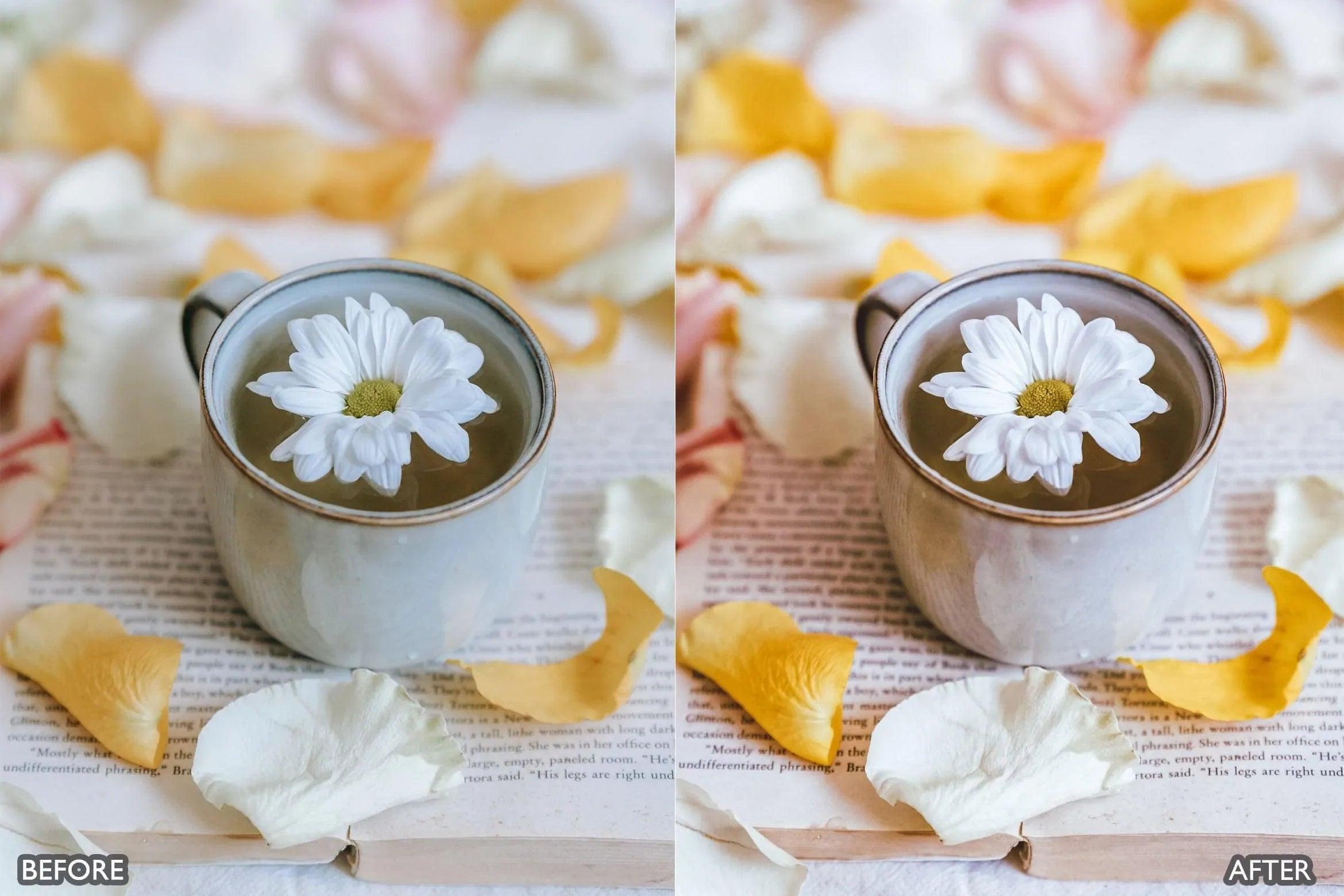 Bright Natural Lightroom Presets - Lightroom Presets - by AAA Presets