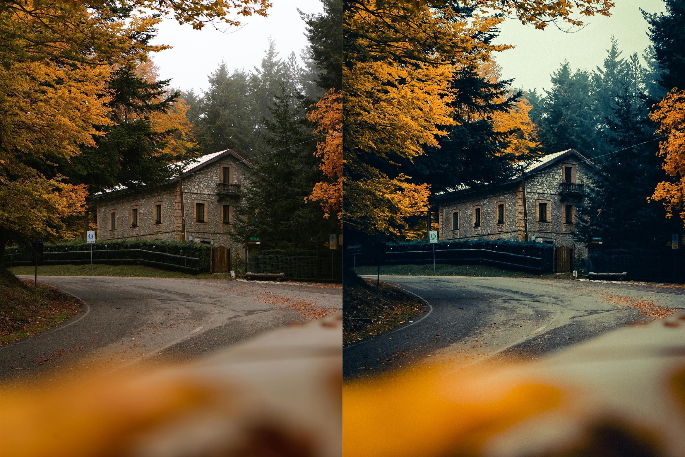 Cinematic Autumn Fall Lightroom Presets - Lightroom Presets - by AAA Presets