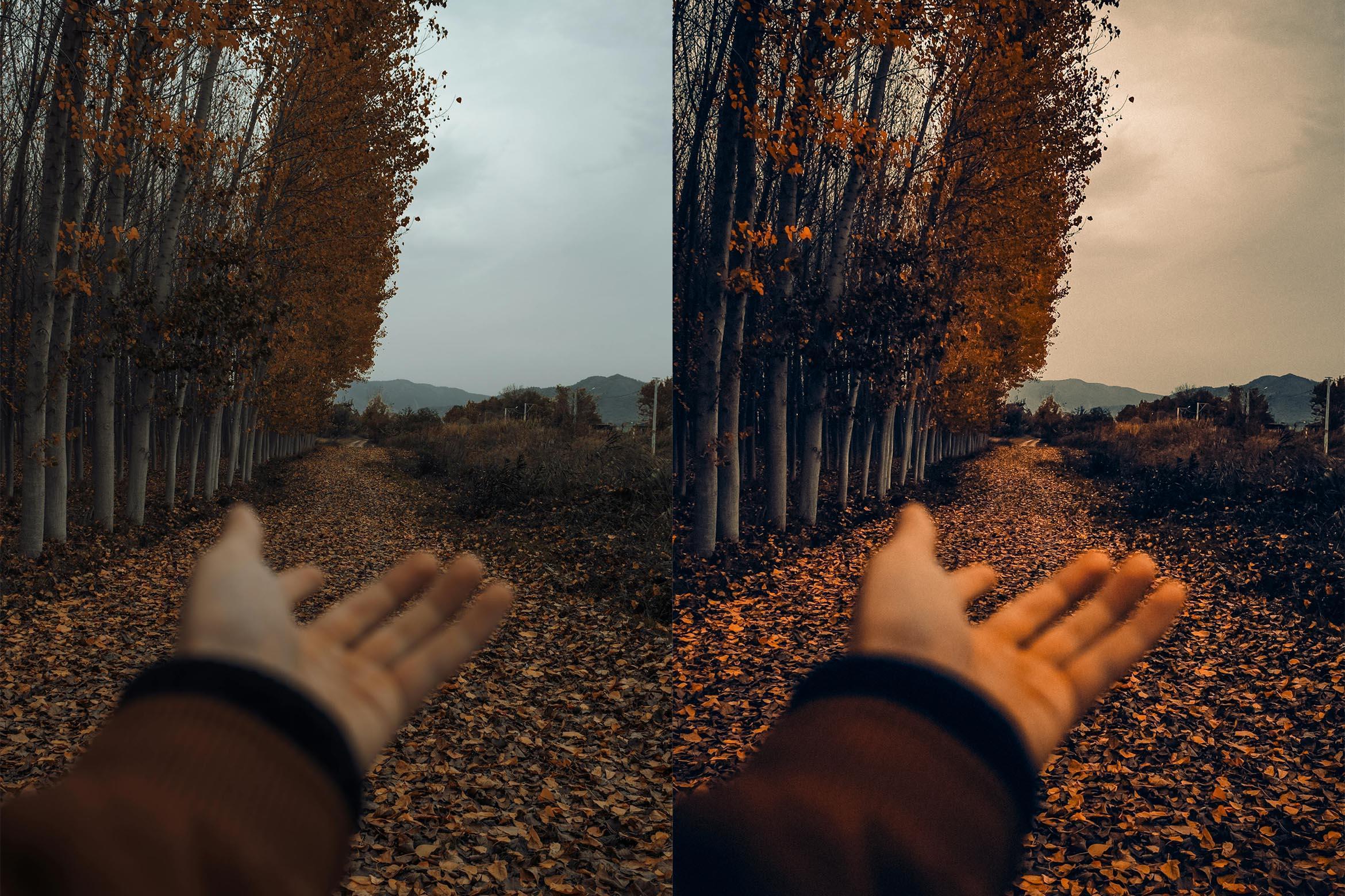 Cinematic Autumn Fall Lightroom Presets - Lightroom Presets - by AAA Presets