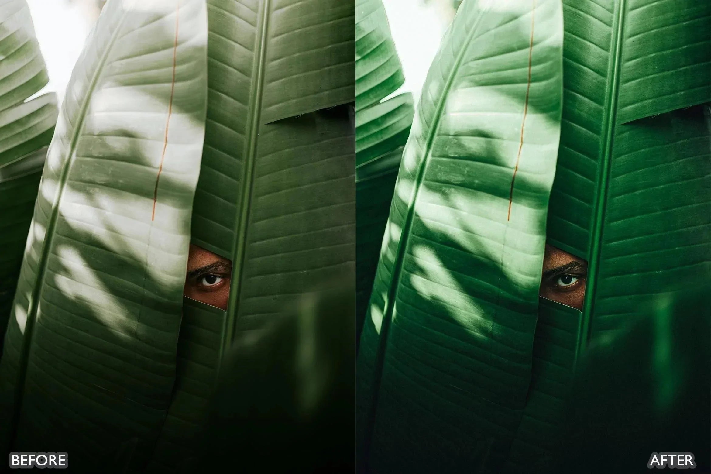 Cinematic Nature Moody Green Lightroom Preset - Lightroom Presets - by AAA Presets