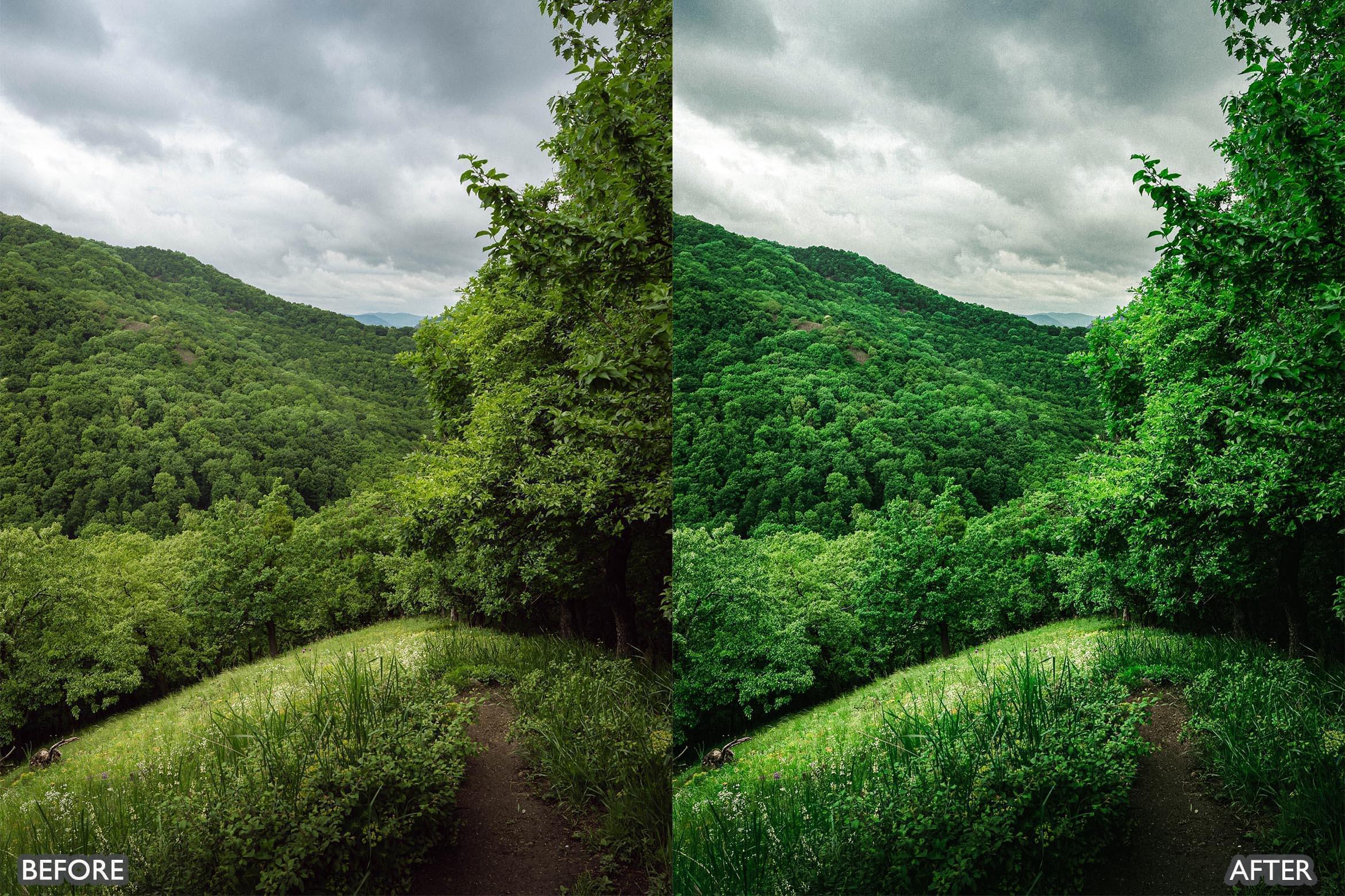 Cinematic Nature Moody Green Lightroom Preset - Lightroom Presets - by AAA Presets