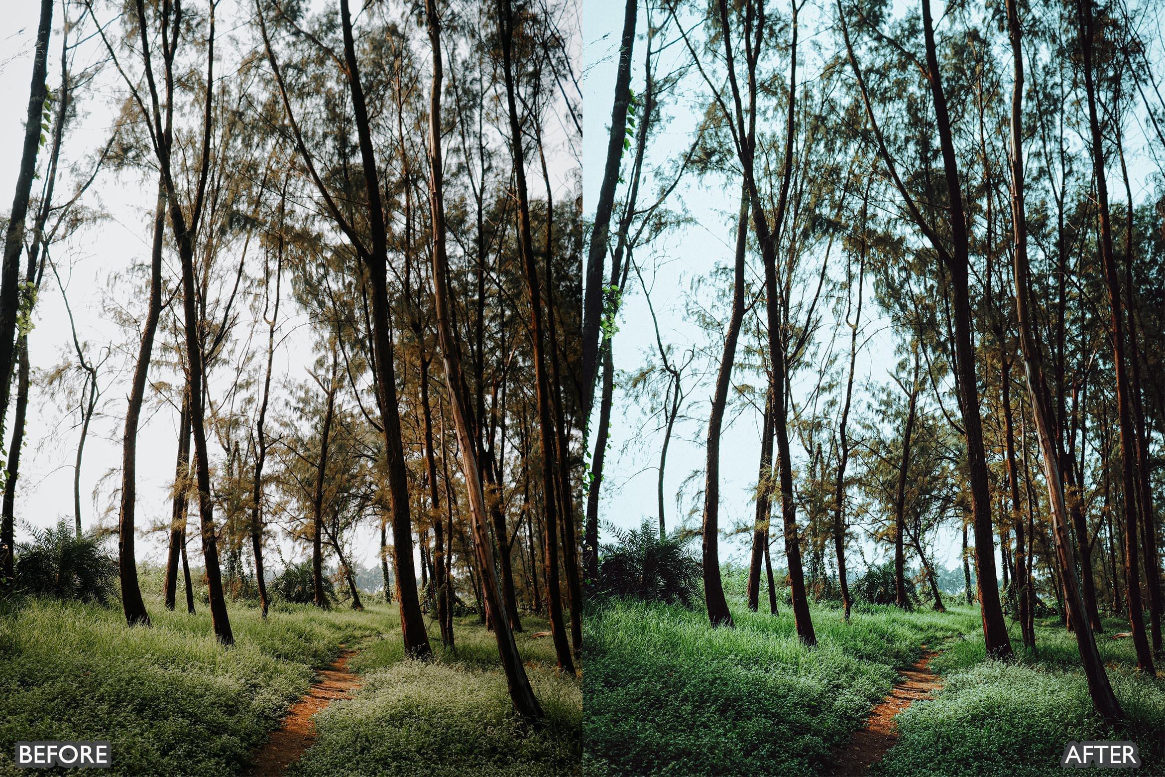 Cinematic Nature Moody Green Lightroom Preset - Lightroom Presets - by AAA Presets