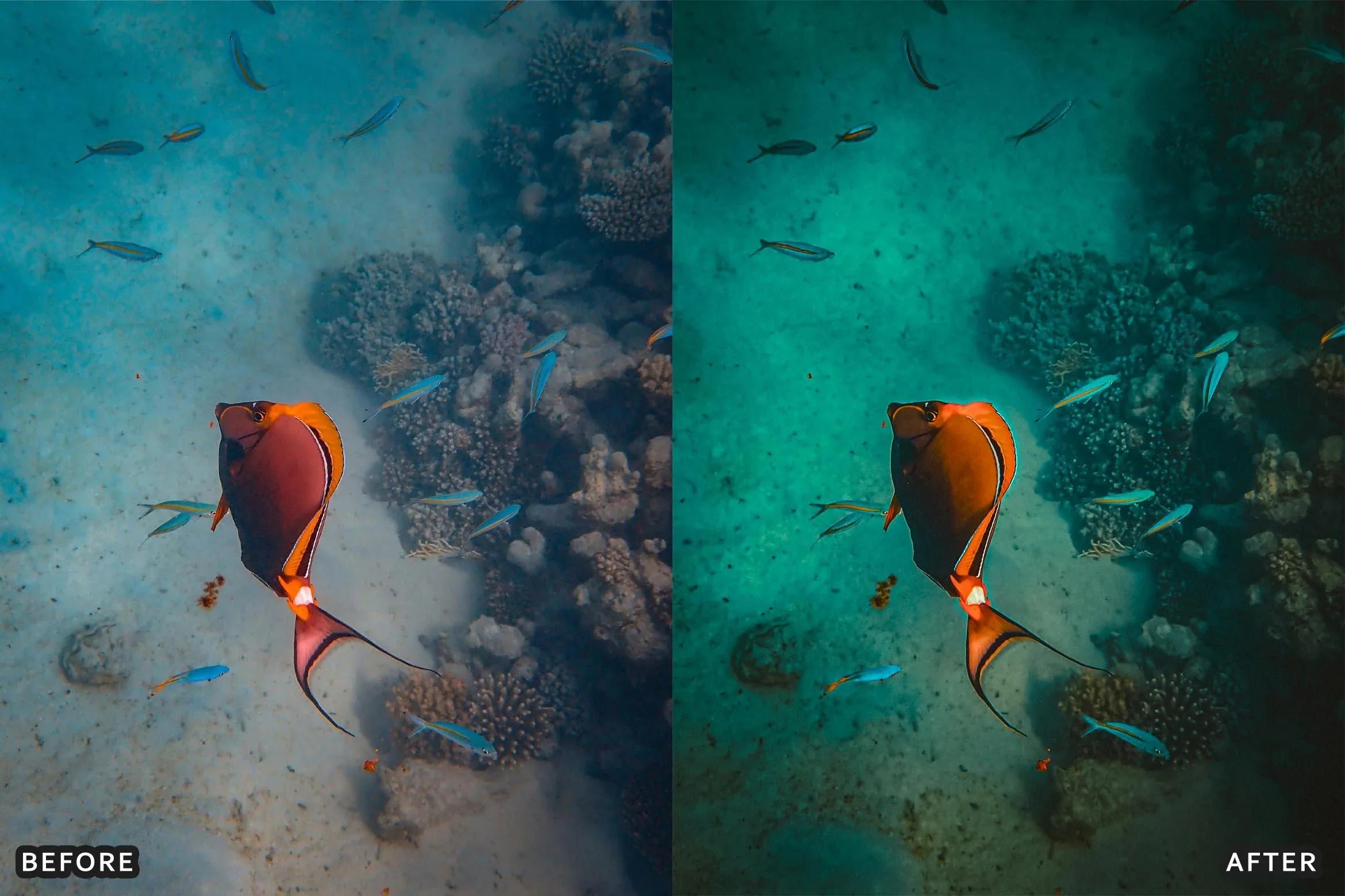Cinematic Underwater Lightroom Presets Pack - Lightroom Presets - by AAA Presets