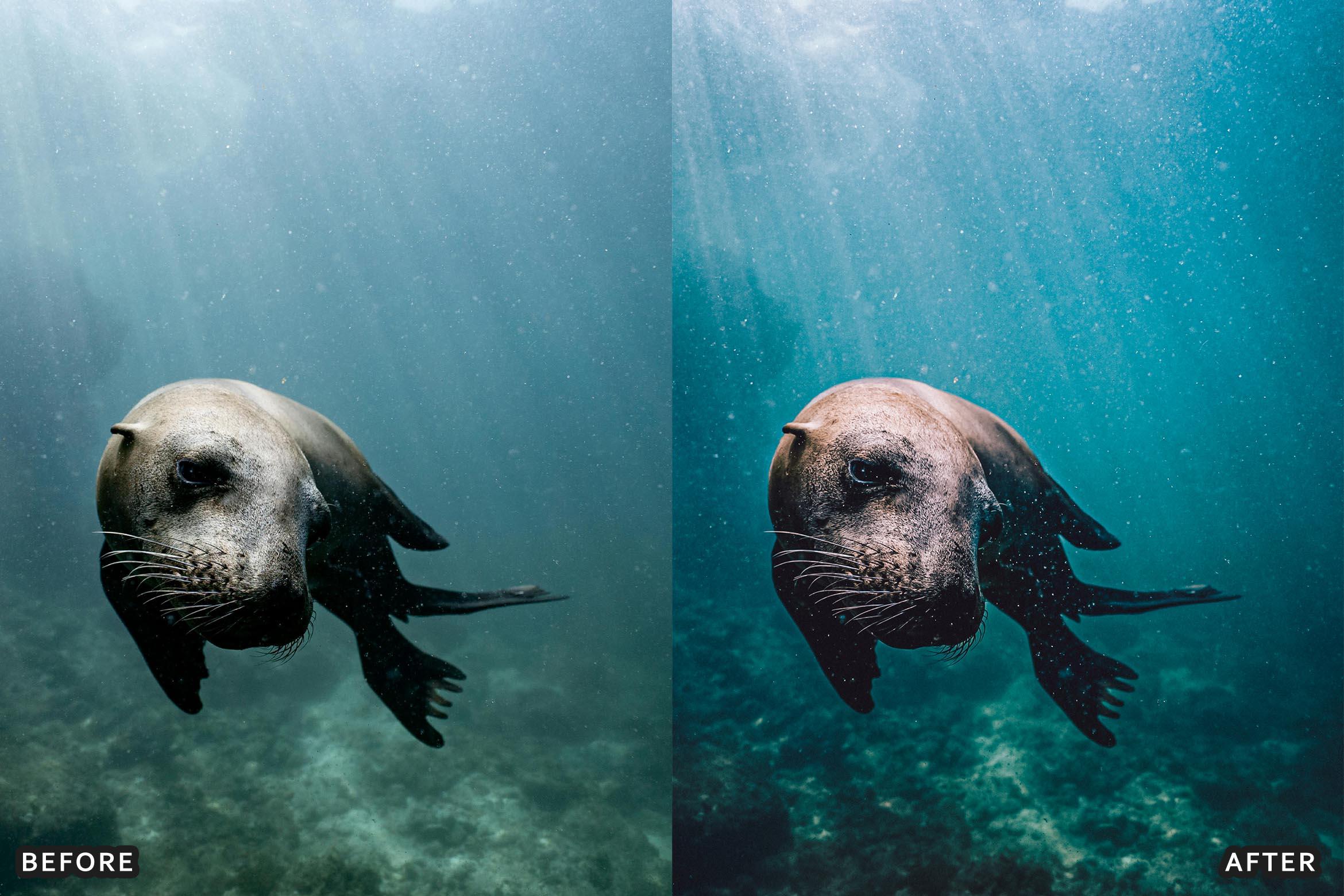 Cinematic Underwater Lightroom Presets Pack - Lightroom Presets - by AAA Presets