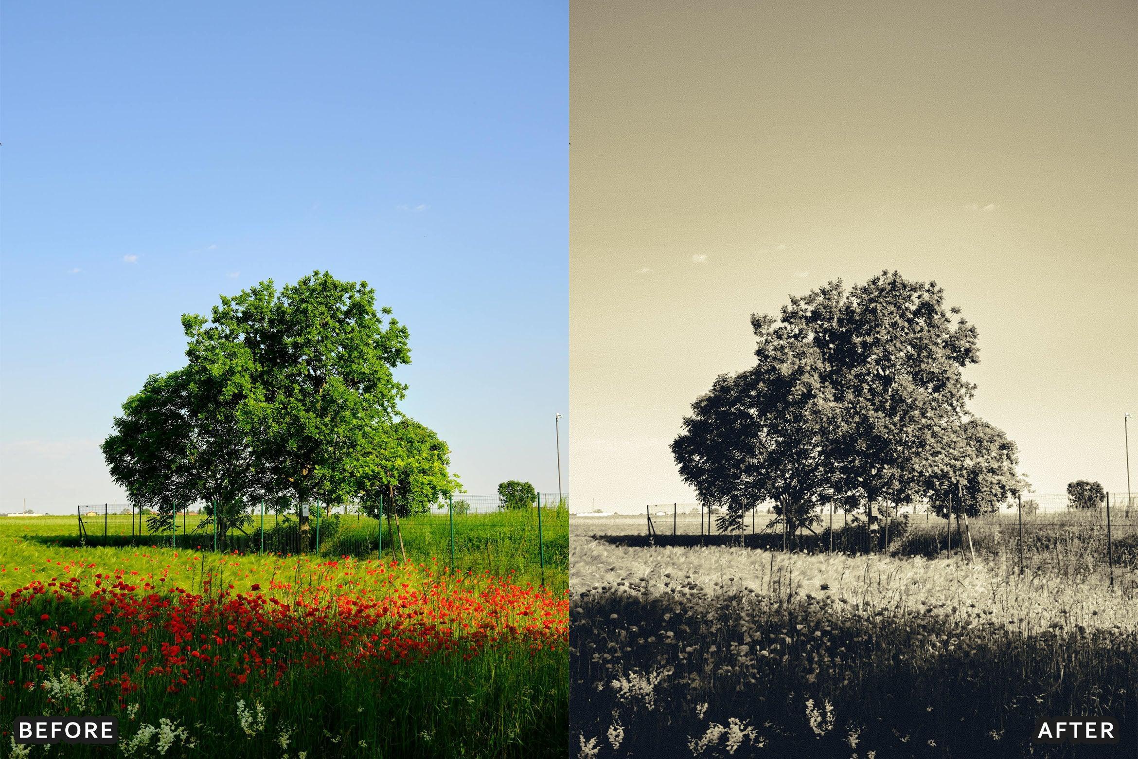 Classic Black and White Lightroom Presets - Lightroom Presets - by AAA Presets