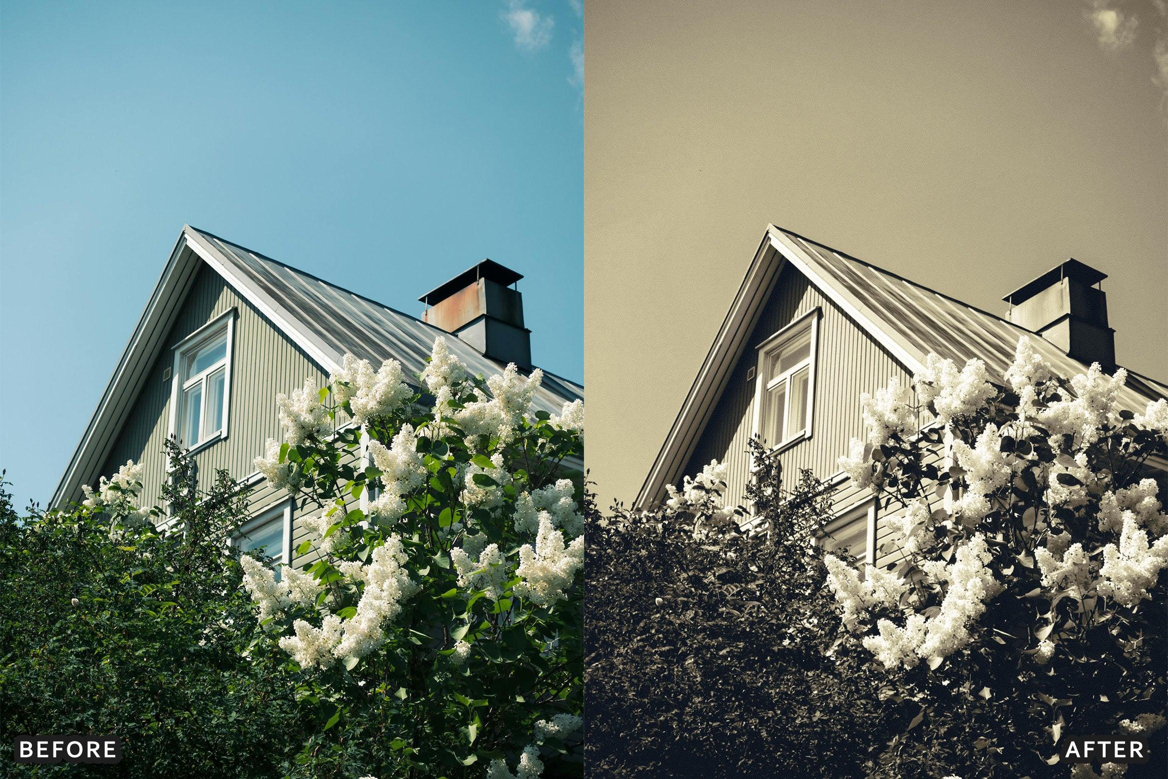 Classic Black and White Lightroom Presets - Lightroom Presets - by AAA Presets