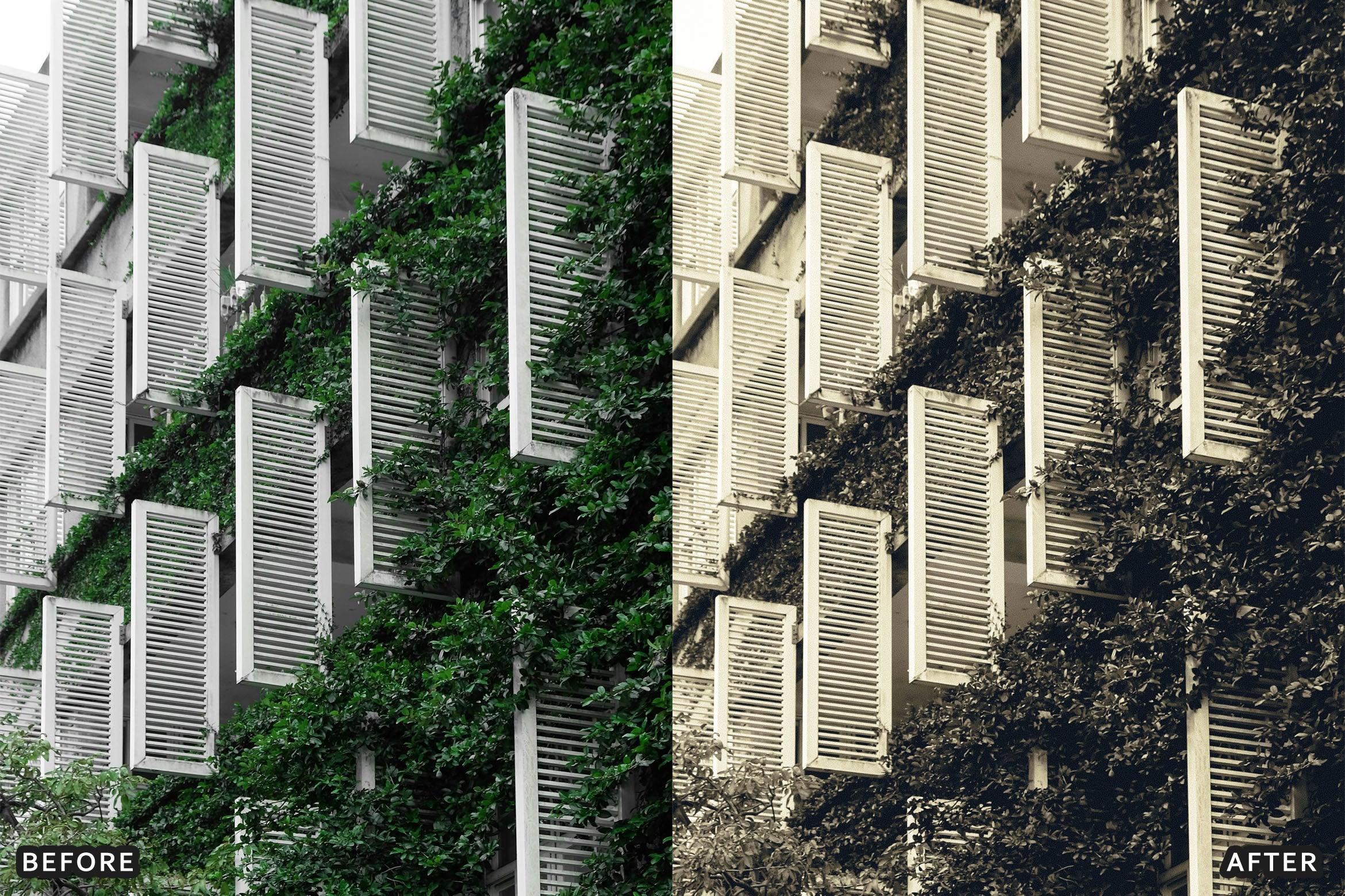 Classic Black and White Lightroom Presets - Lightroom Presets - by AAA Presets