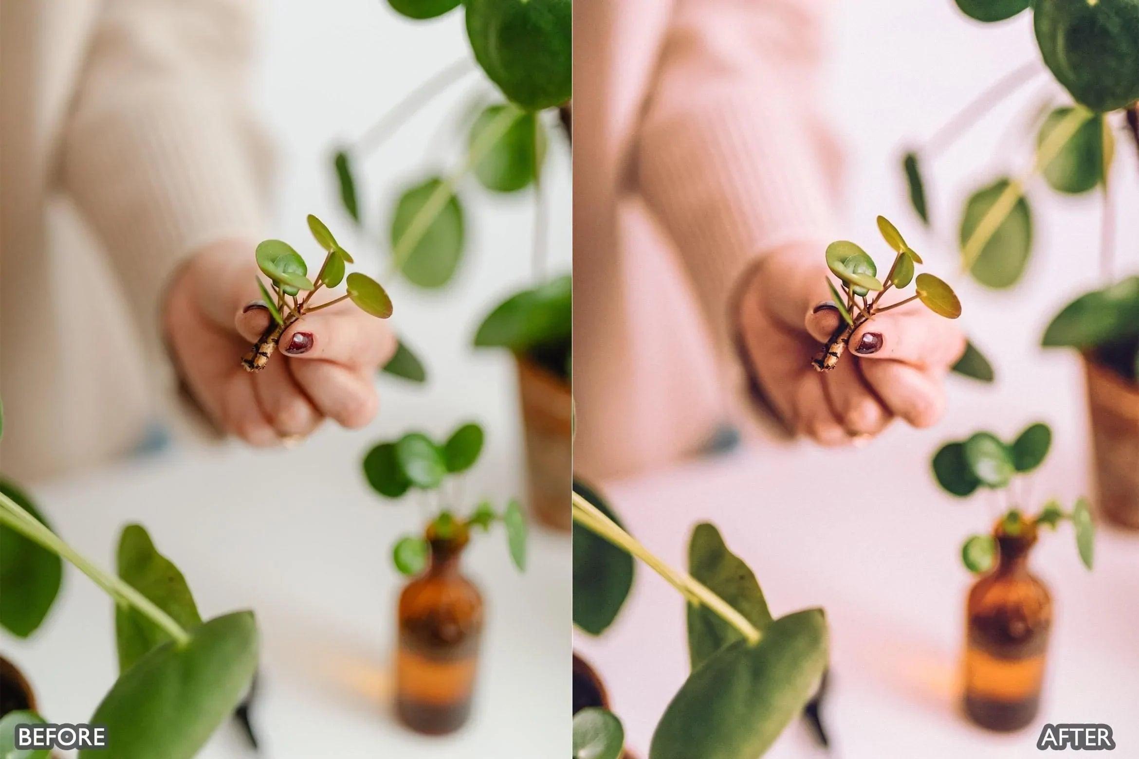 Cream Vsco Tones Lightroom Presets - Lightroom Presets - by AAA Presets