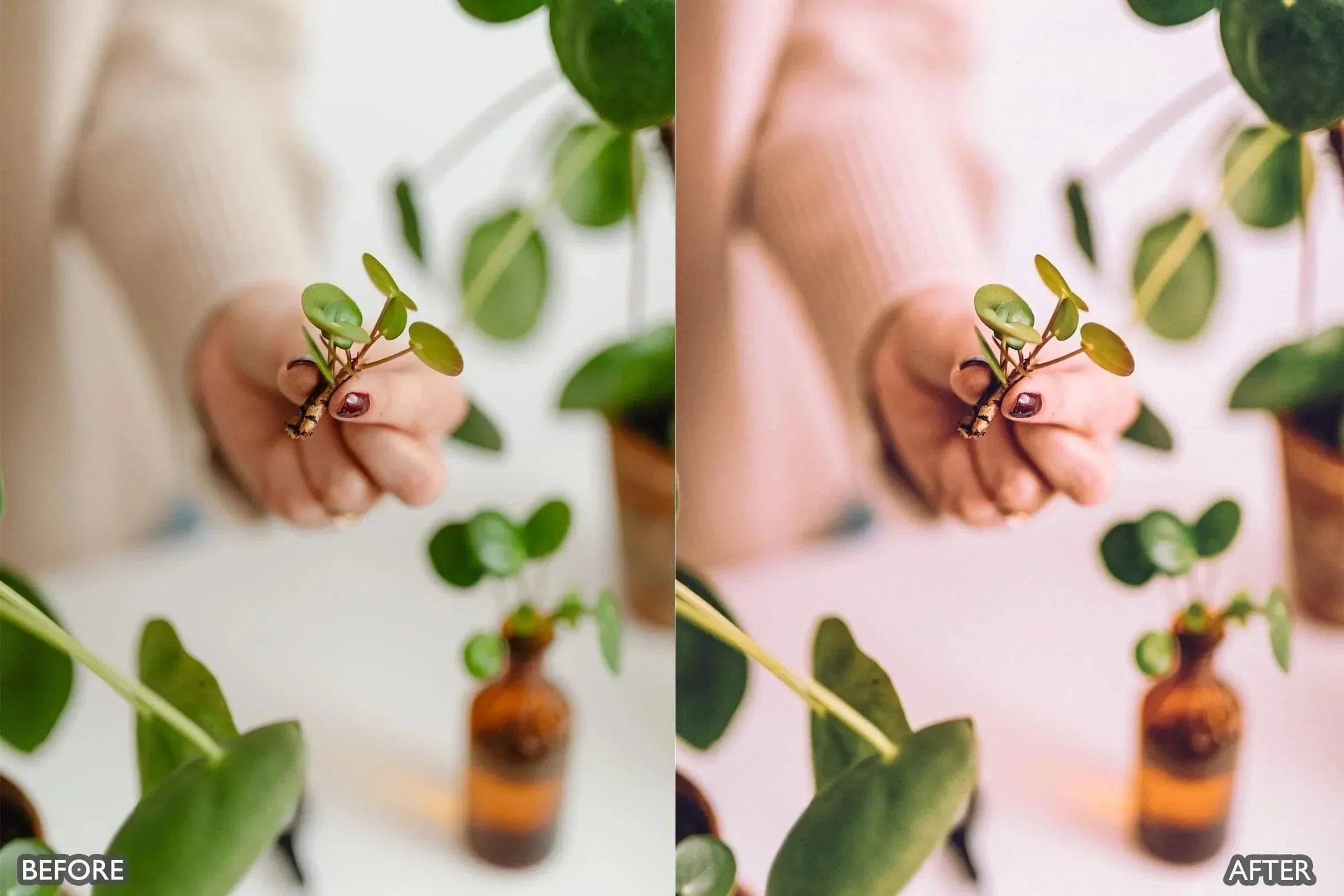 Cream Vsco Tones Lightroom Presets - Lightroom Presets - by AAA Presets