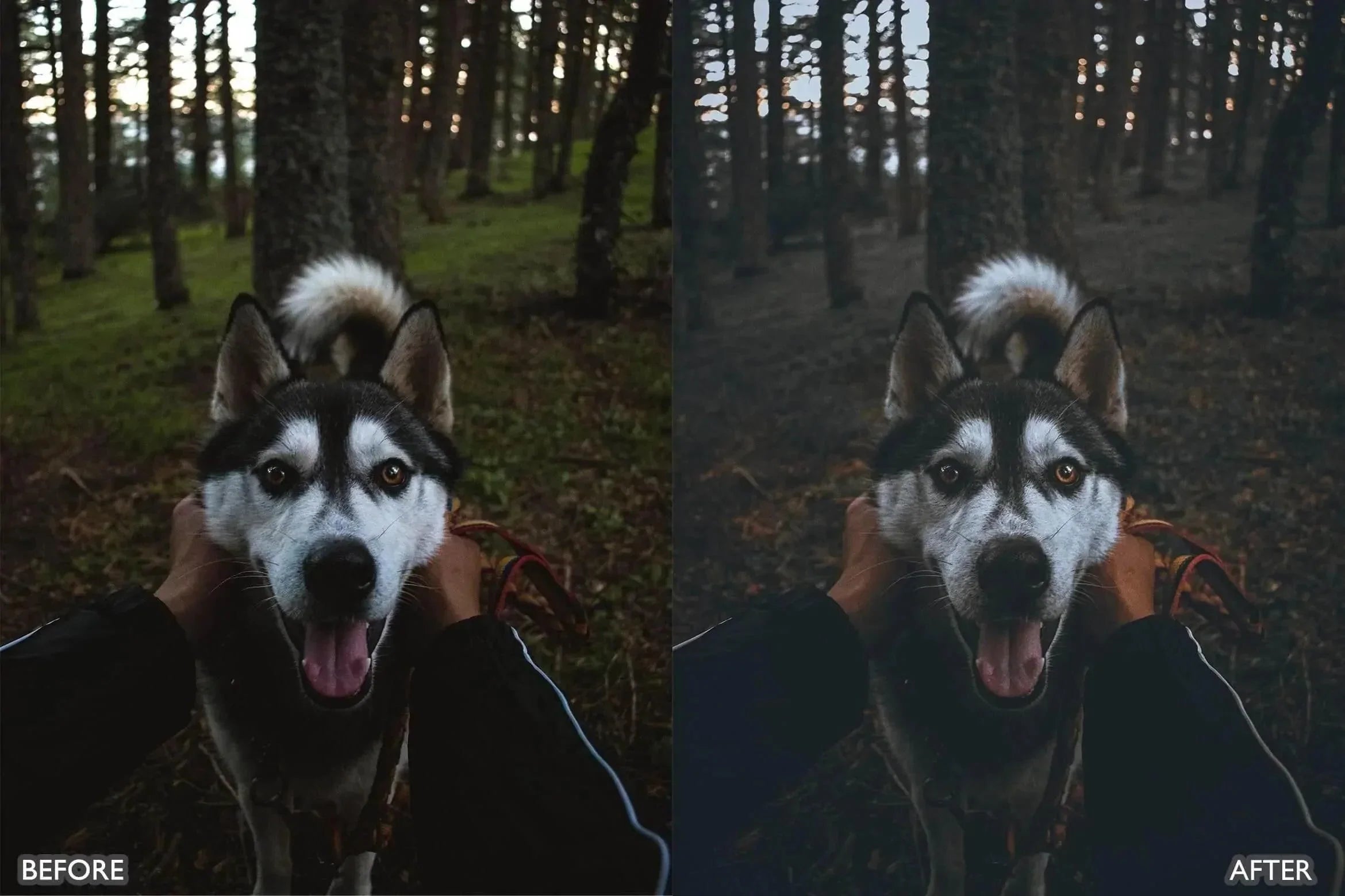 Dark and Moody Lightroom Presets - Lightroom Presets - by AAA Presets