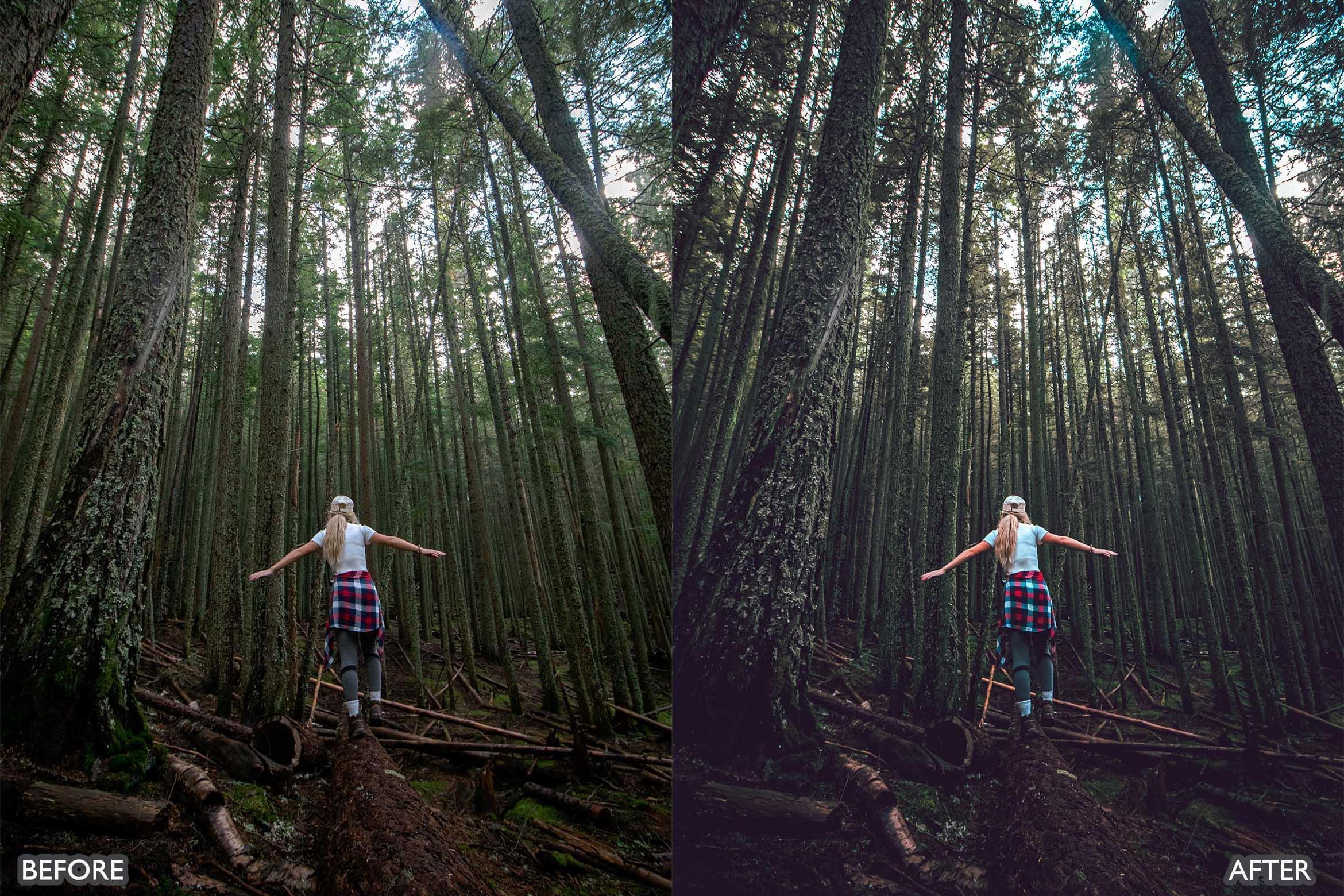 Dark and Moody Lightroom Presets - Lightroom Presets - by AAA Presets