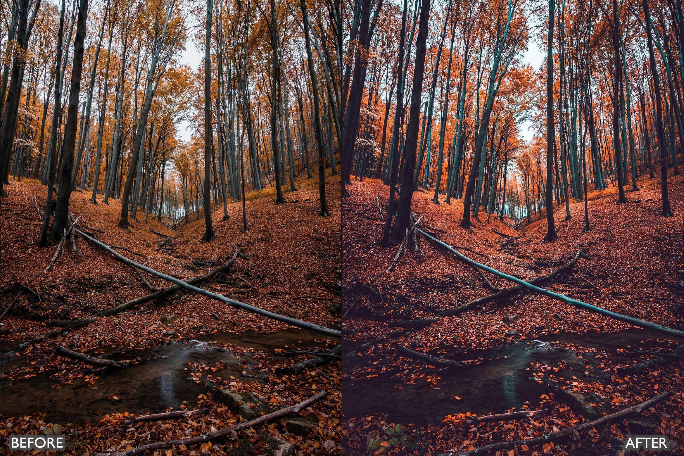 Dark and Moody Lightroom Presets - Lightroom Presets - by AAA Presets