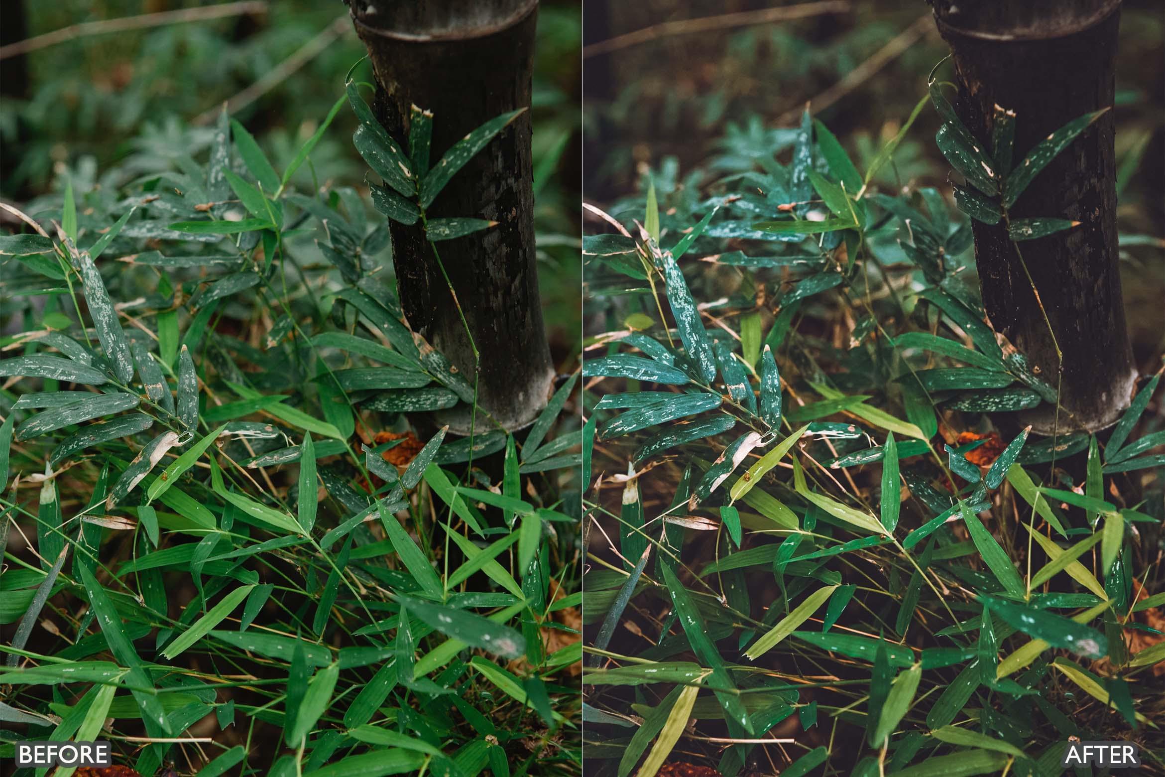 Dark & Moody Travel Lightroom Presets - Lightroom Presets - by AAA Presets