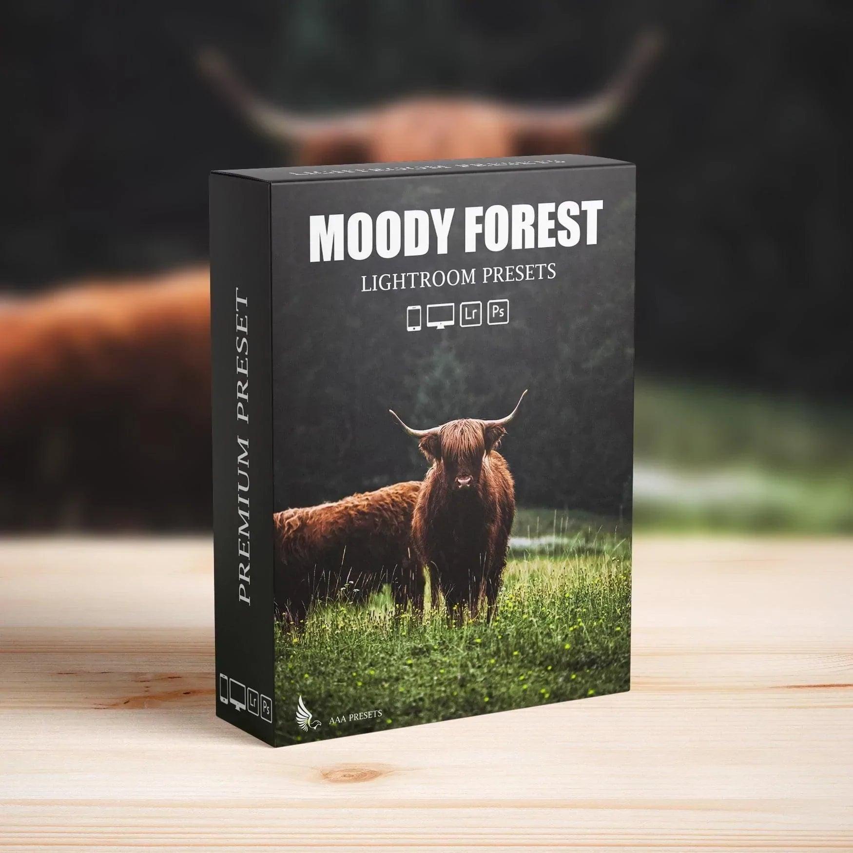 Dark & Moody Travel Lightroom Presets - Lightroom Presets - by AAA Presets