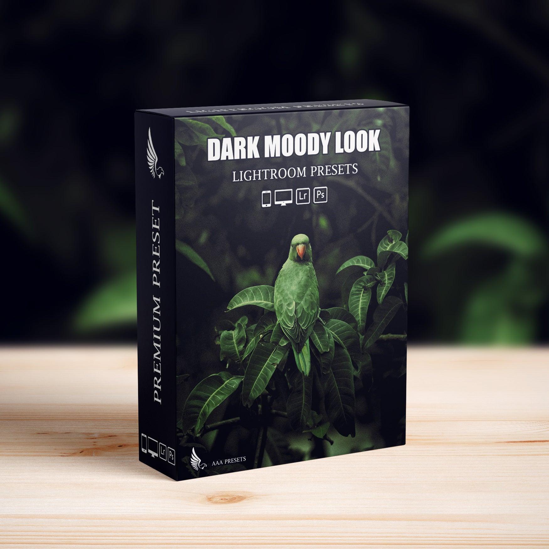 Dark Moody New Look Lightroom Presets Pack - Lightroom Presets - by AAA Presets