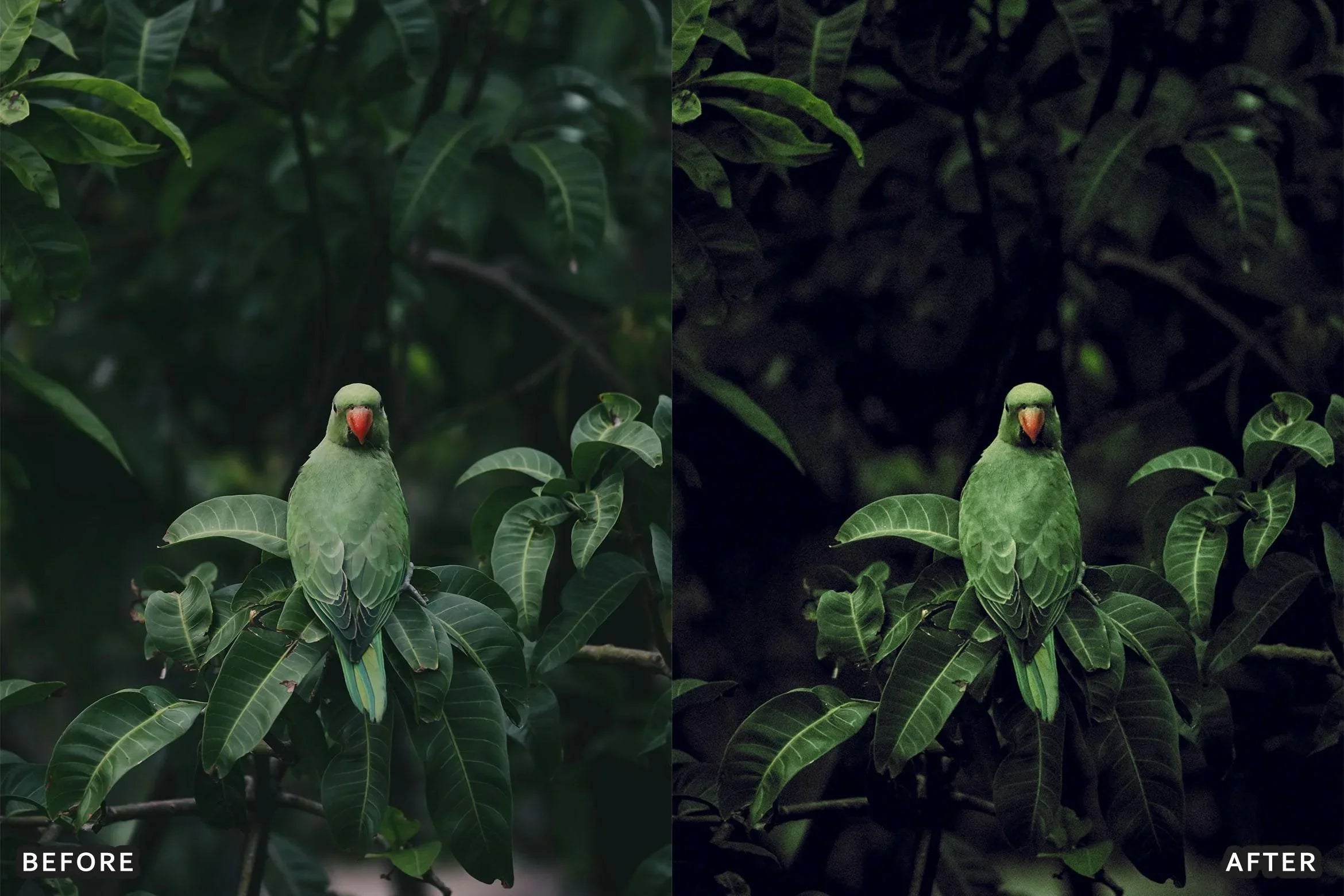 Dark Moody New Look Lightroom Presets Pack - Lightroom Presets - by AAA Presets