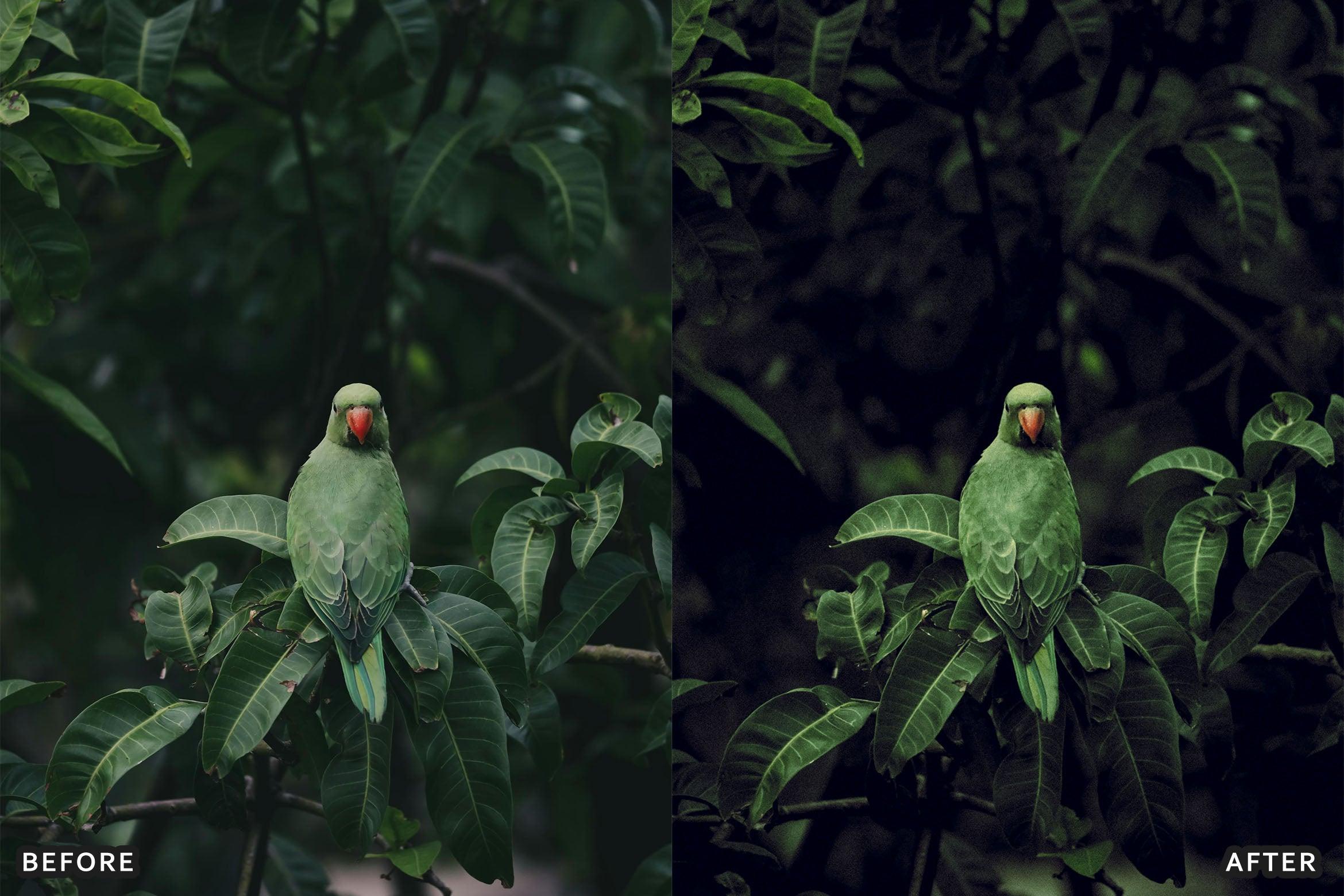 Dark Moody New Look Lightroom Presets Pack - Lightroom Presets - by AAA Presets