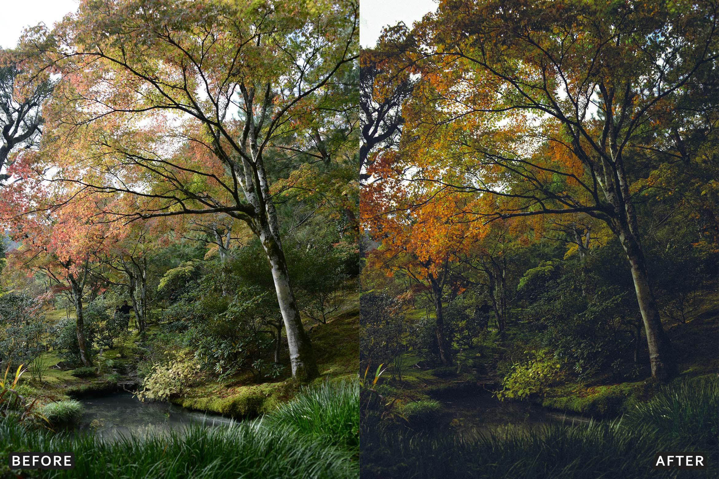 Deep Green Nature Lightroom Presets Pack - Lightroom Presets - by AAA Presets