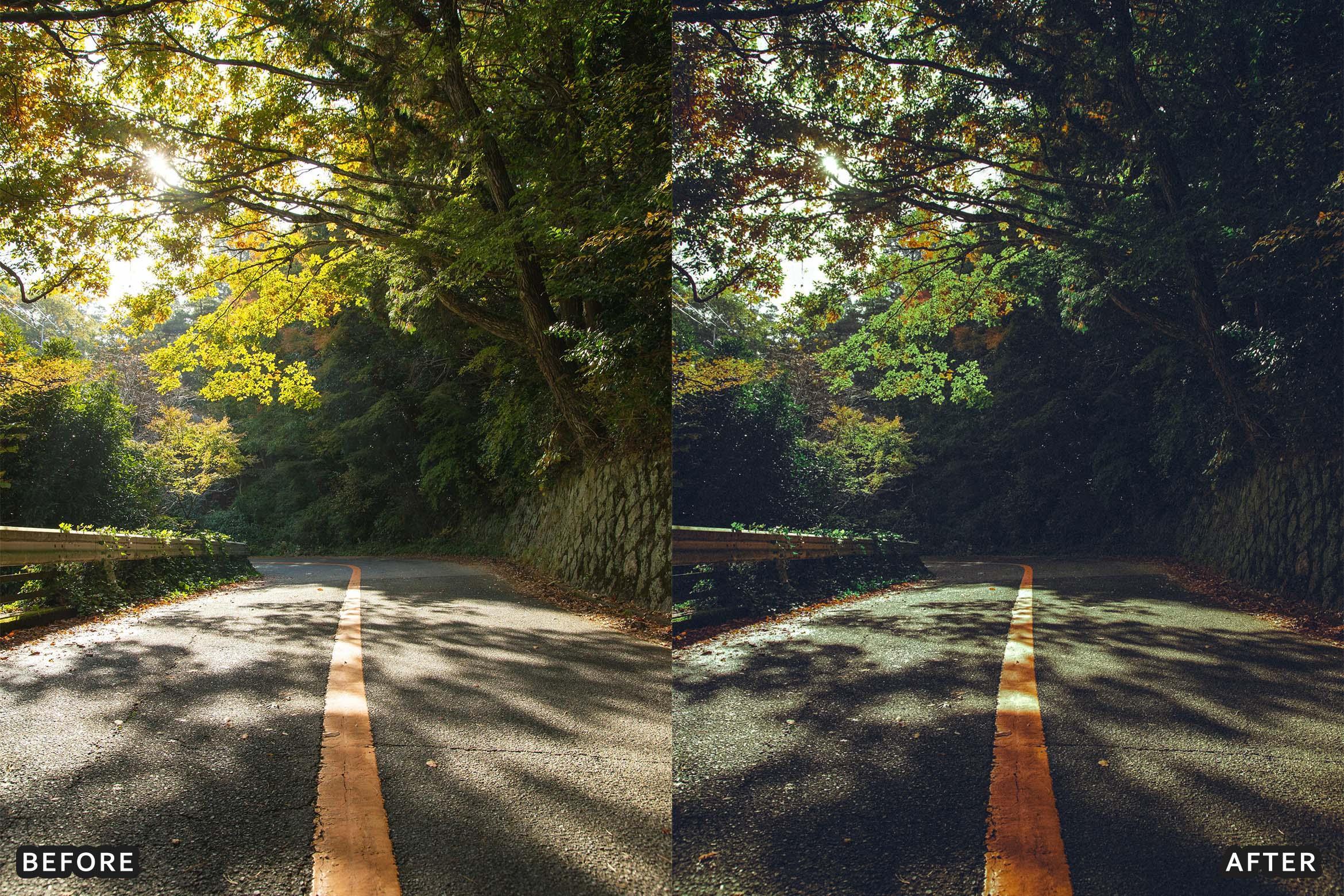Deep Green Nature Lightroom Presets Pack - Lightroom Presets - by AAA Presets