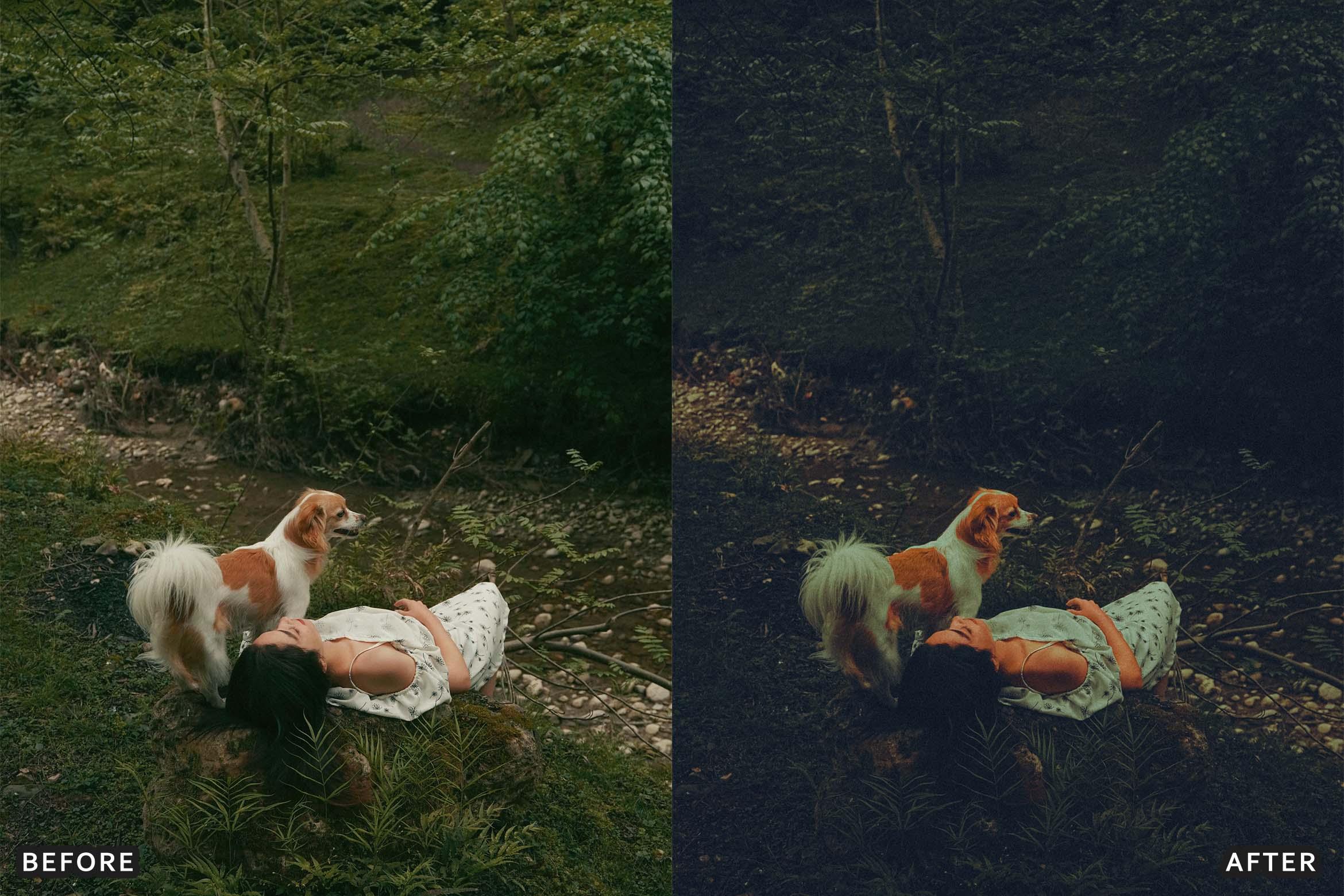 Deep Green Nature Lightroom Presets Pack - Lightroom Presets - by AAA Presets