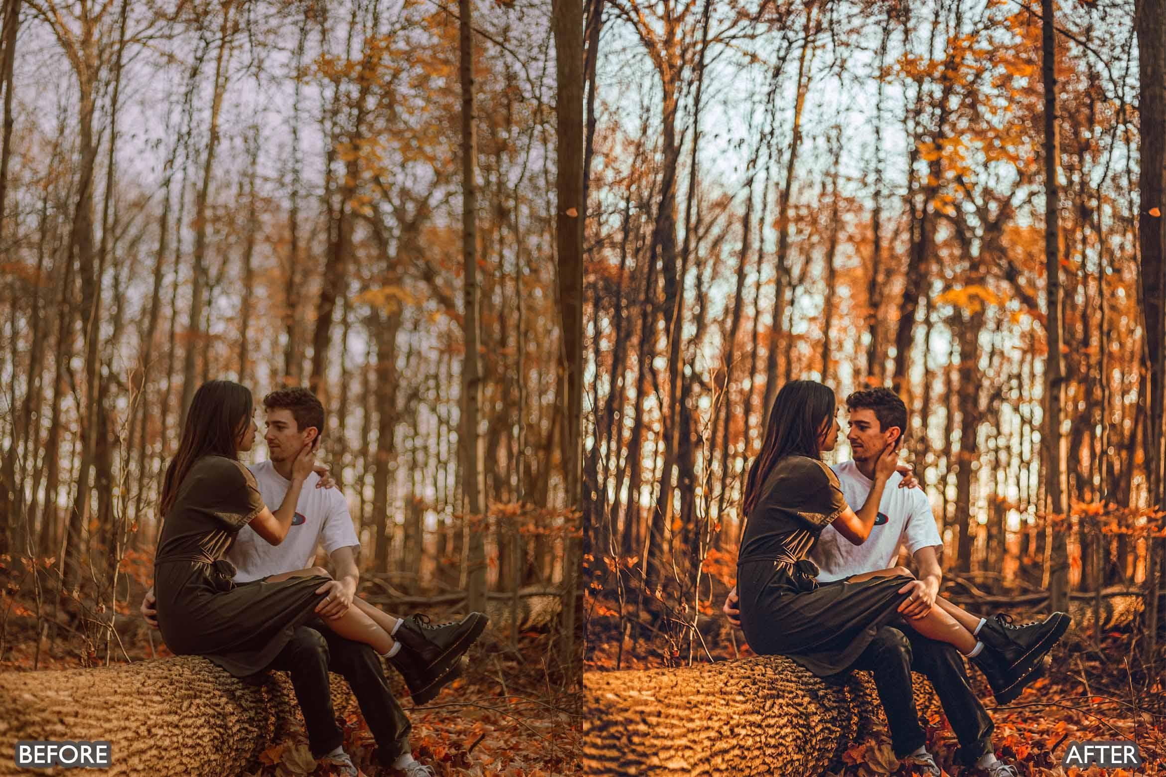 Fall Lightroom Presets For Autumn Photos - Lightroom Presets - by AAA Presets