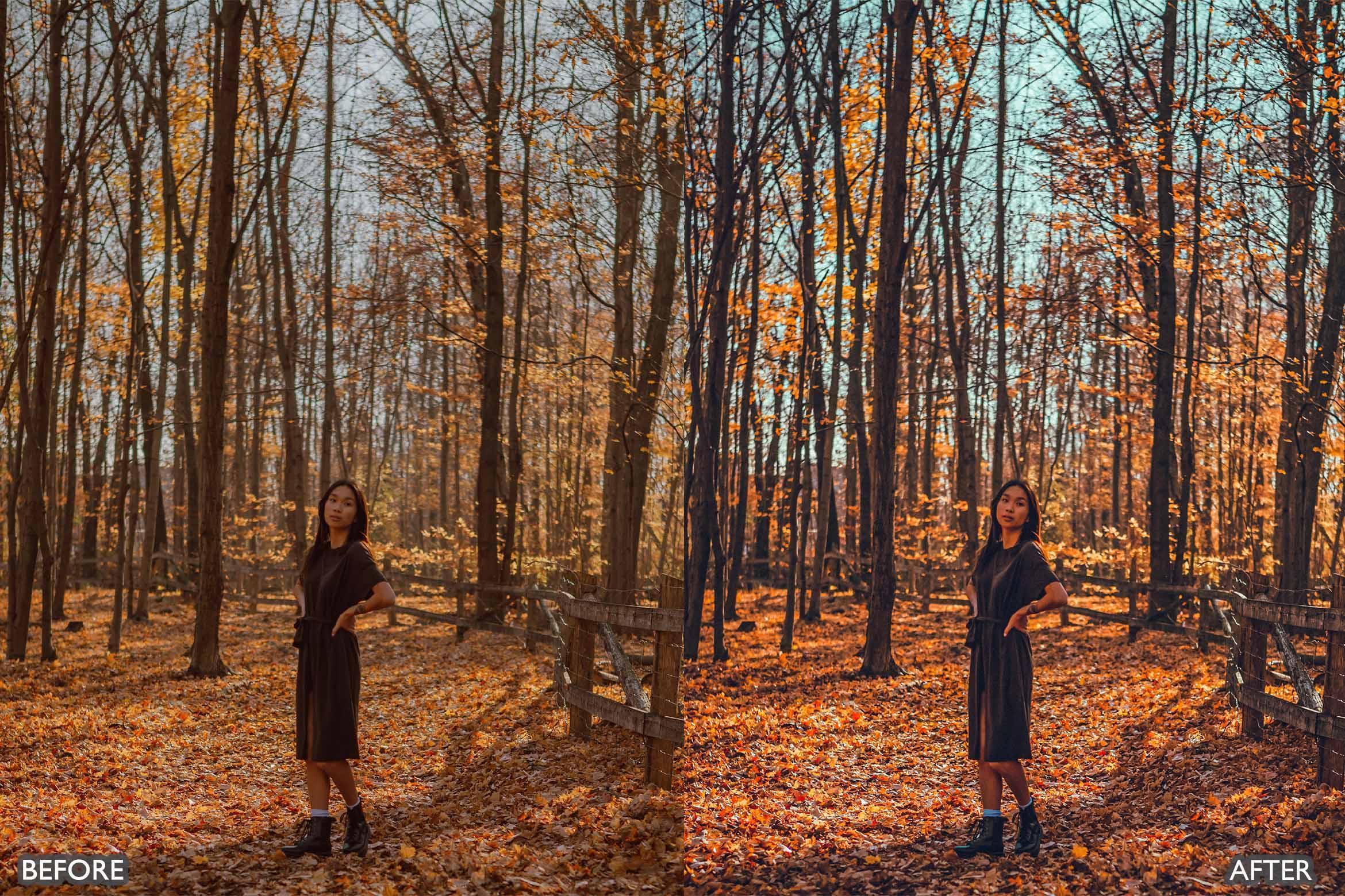 Fall Lightroom Presets For Autumn Photos - Lightroom Presets - by AAA Presets