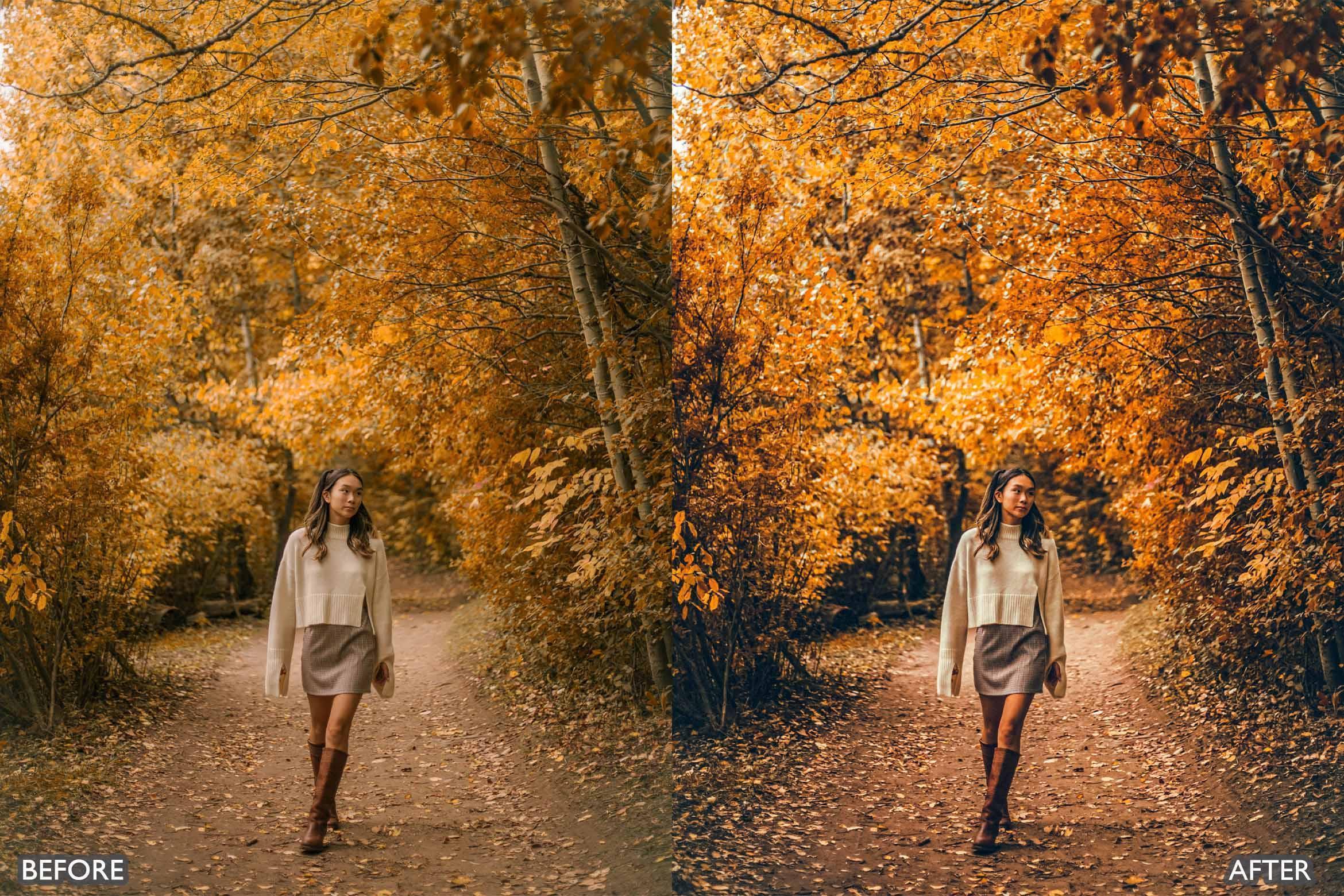 Fall Lightroom Presets For Autumn Photos - Lightroom Presets - by AAA Presets