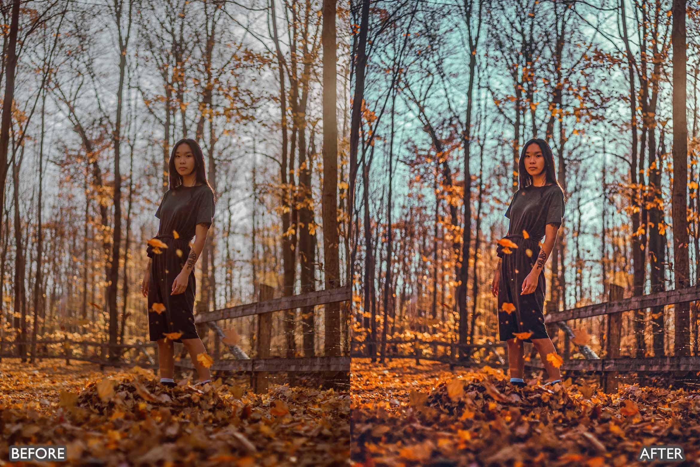 Fall Lightroom Presets For Autumn Photos - Lightroom Presets - by AAA Presets