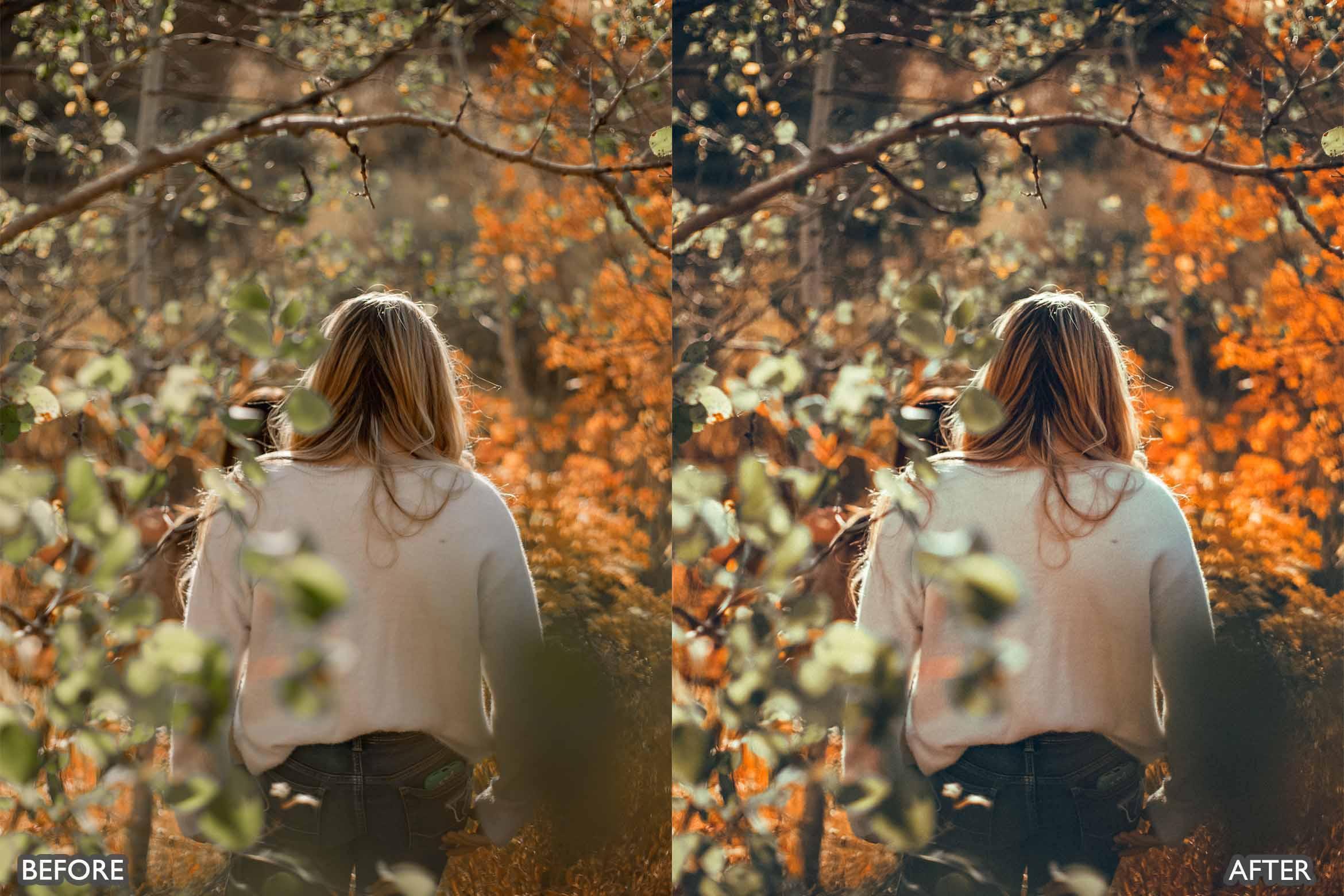 Fall Lightroom Presets For Autumn Photos - Lightroom Presets - by AAA Presets