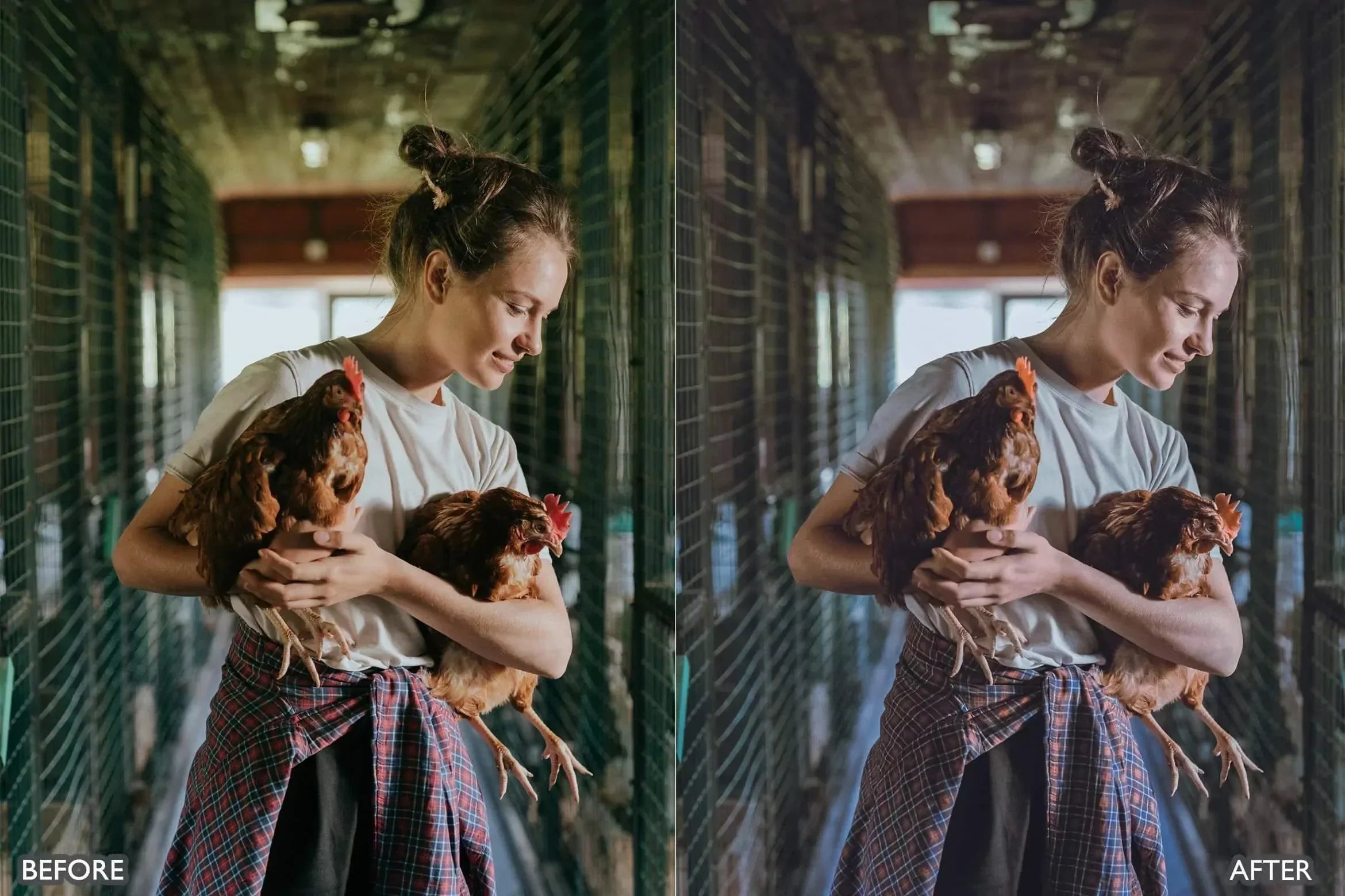 Farm Life Lightroom Presets - Lightroom Presets - by AAA Presets
