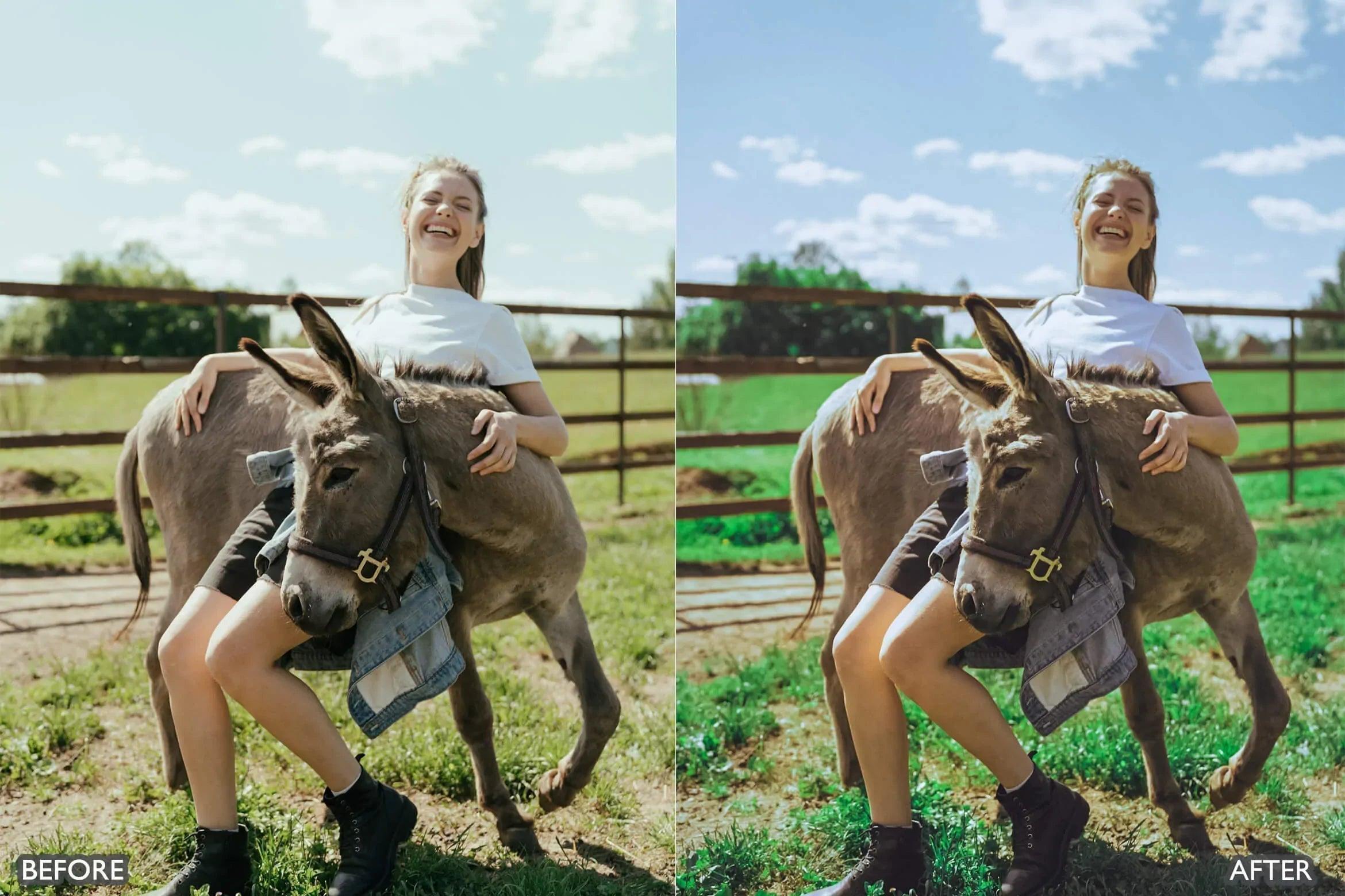 Farm Life Lightroom Presets - Lightroom Presets - by AAA Presets