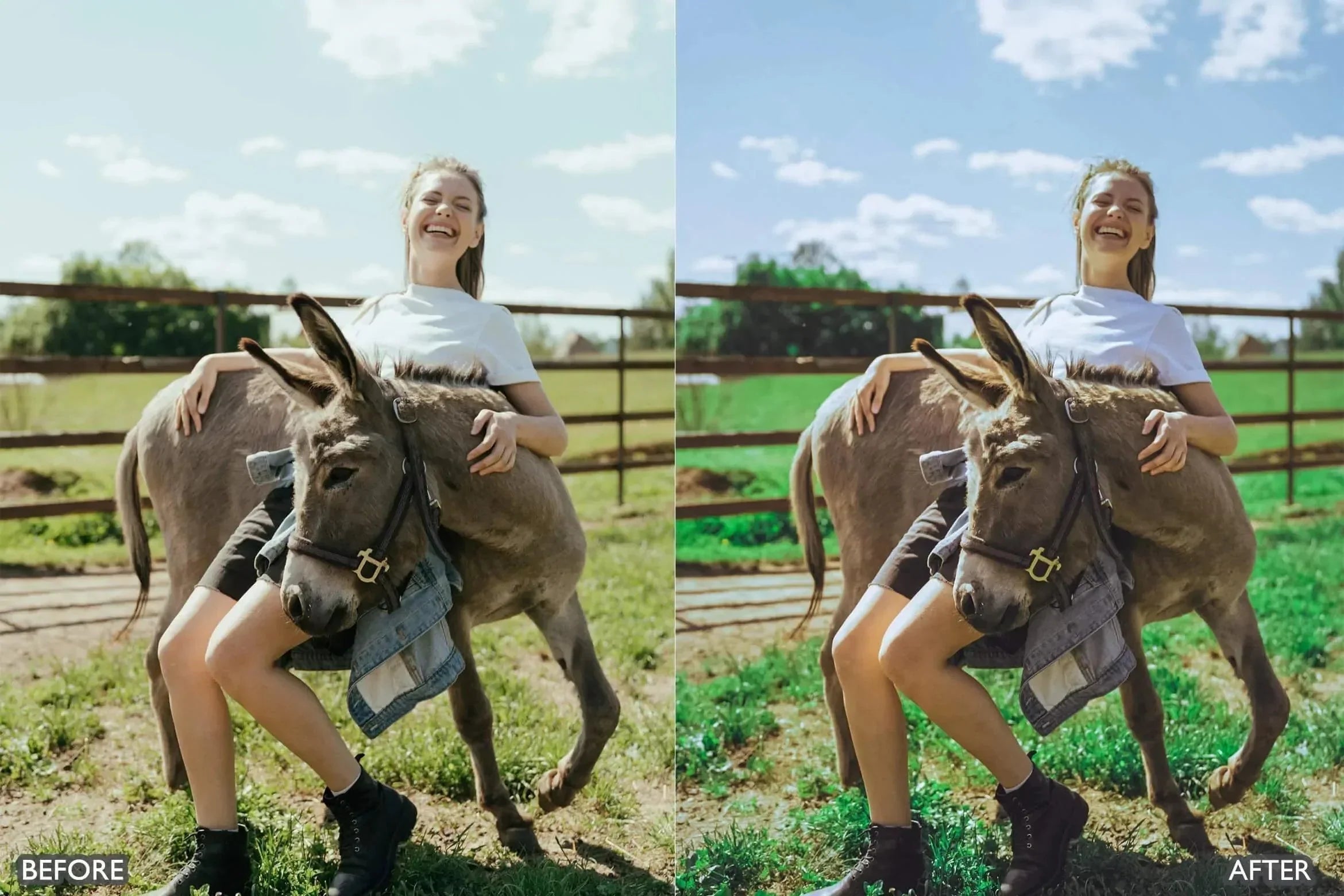 Farm Life Lightroom Presets - Lightroom Presets - by AAA Presets