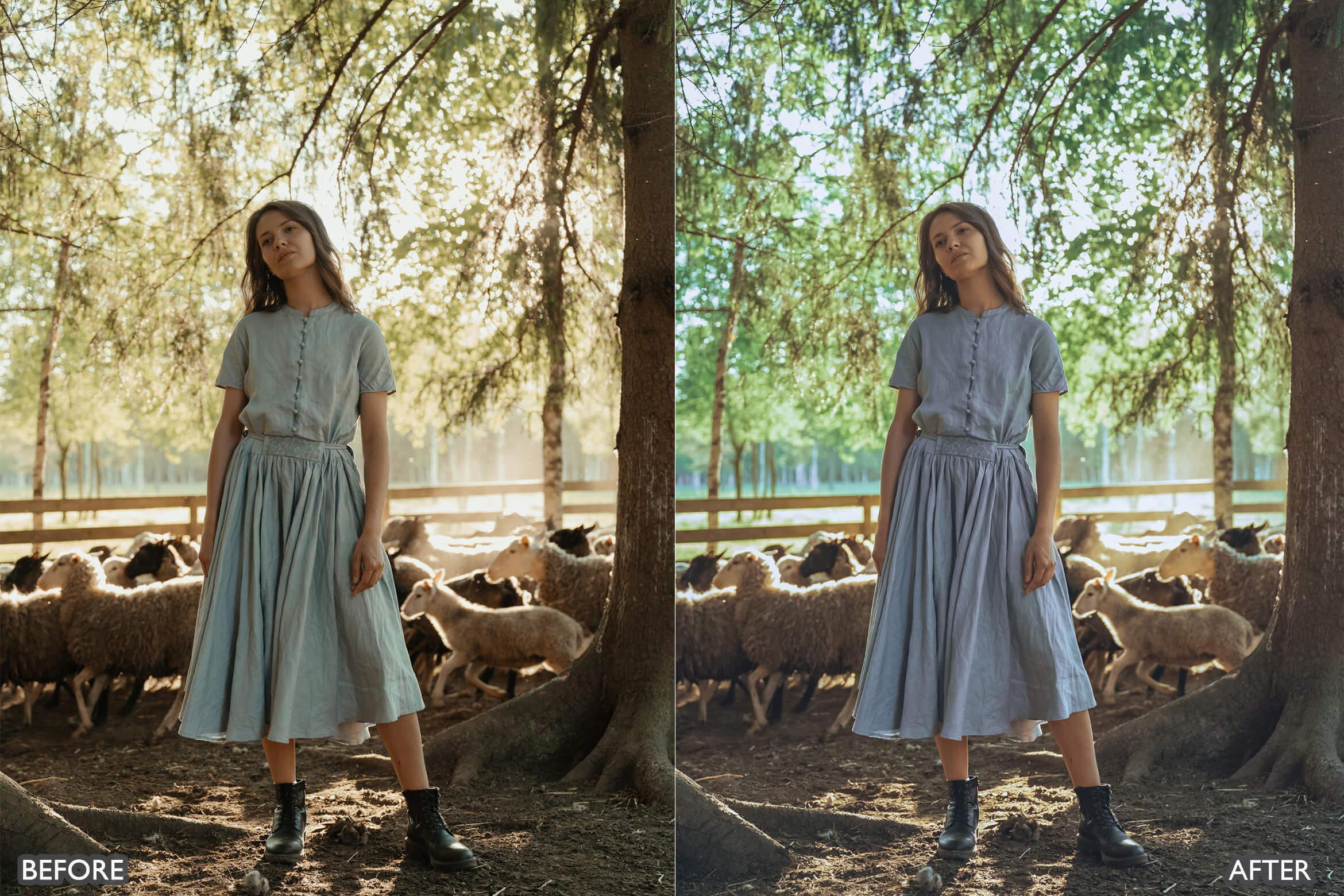 Farm Life Lightroom Presets - Lightroom Presets - by AAA Presets