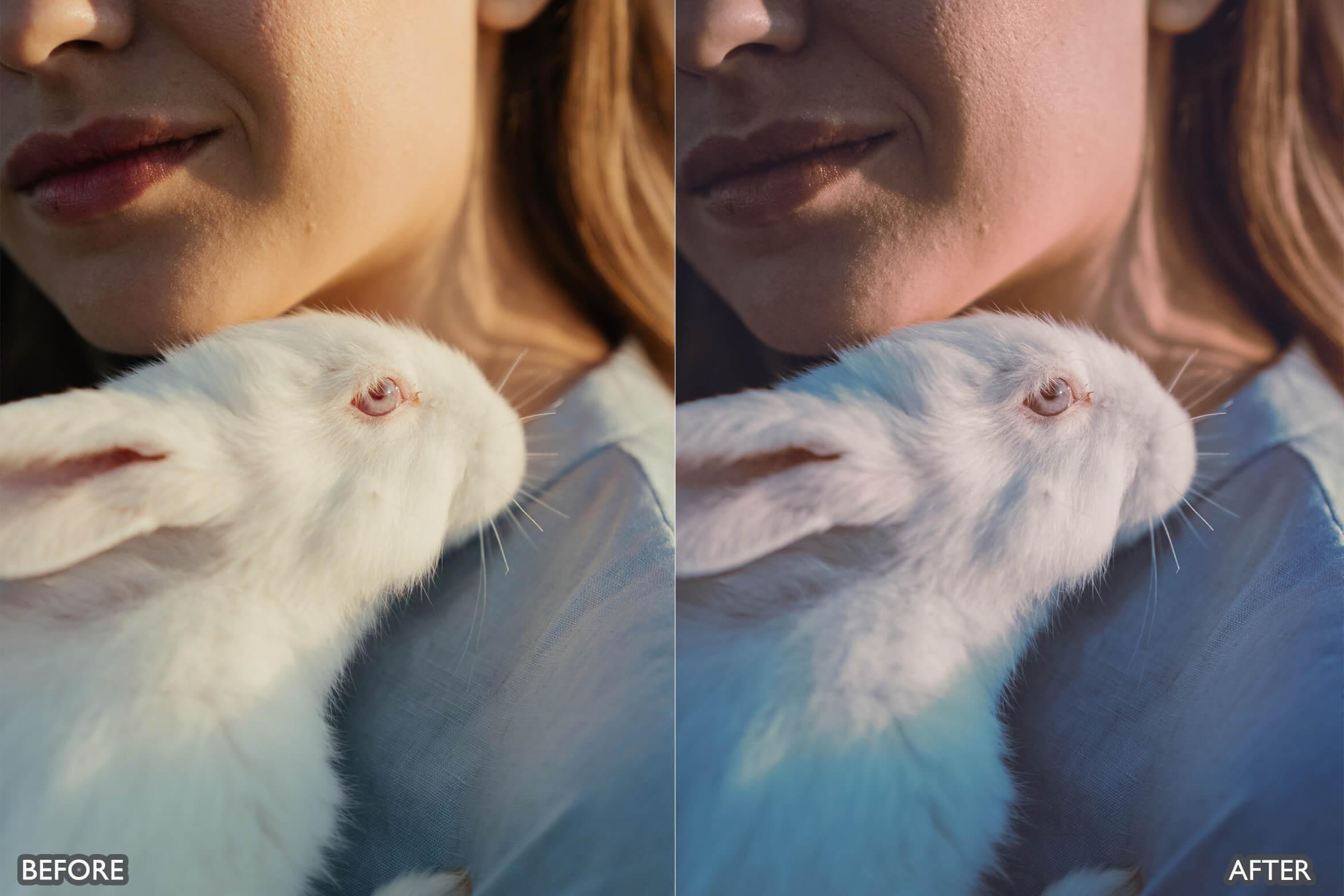 Farm Life Lightroom Presets - Lightroom Presets - by AAA Presets