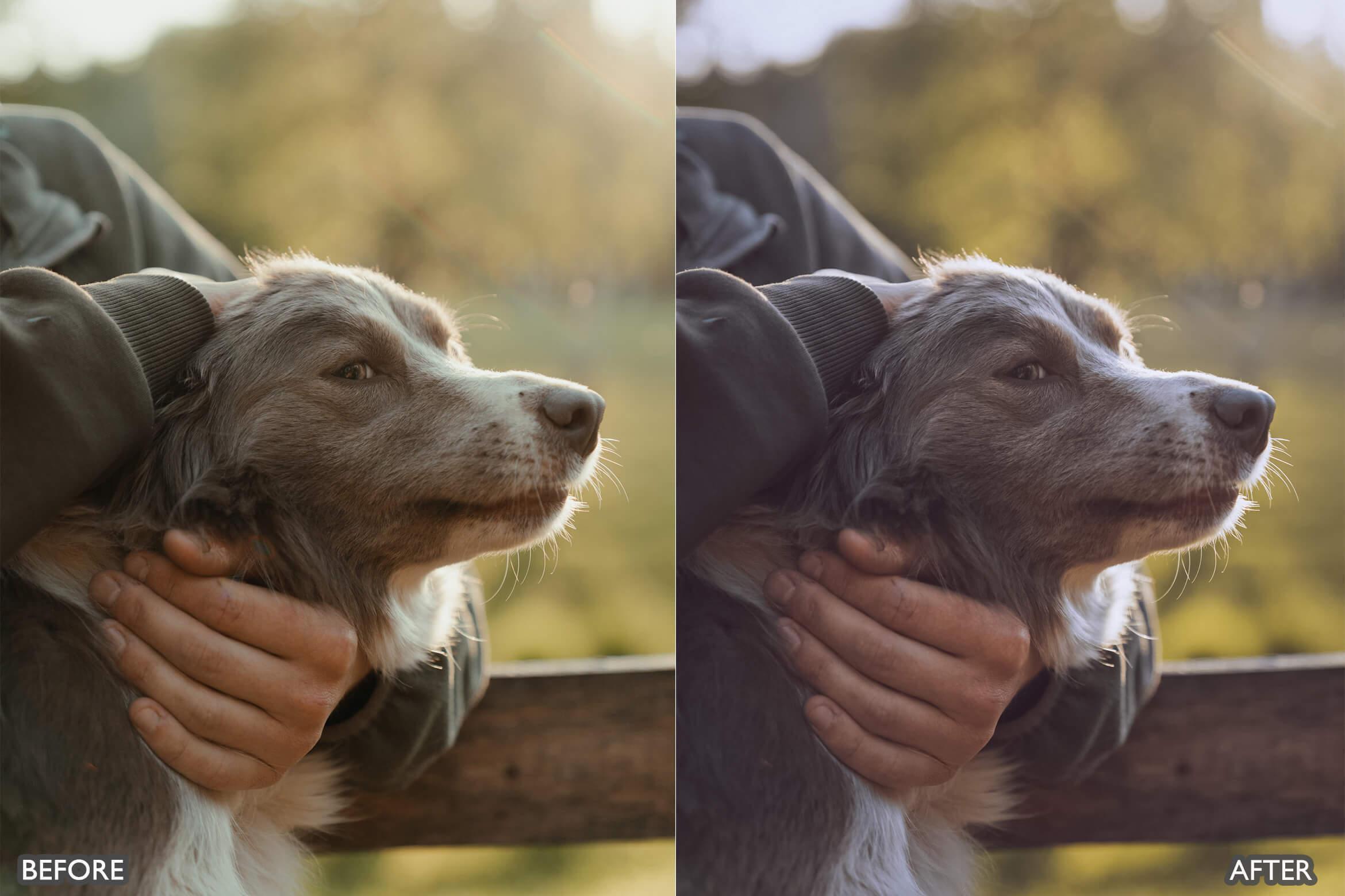 Farm Life Lightroom Presets - Lightroom Presets - by AAA Presets