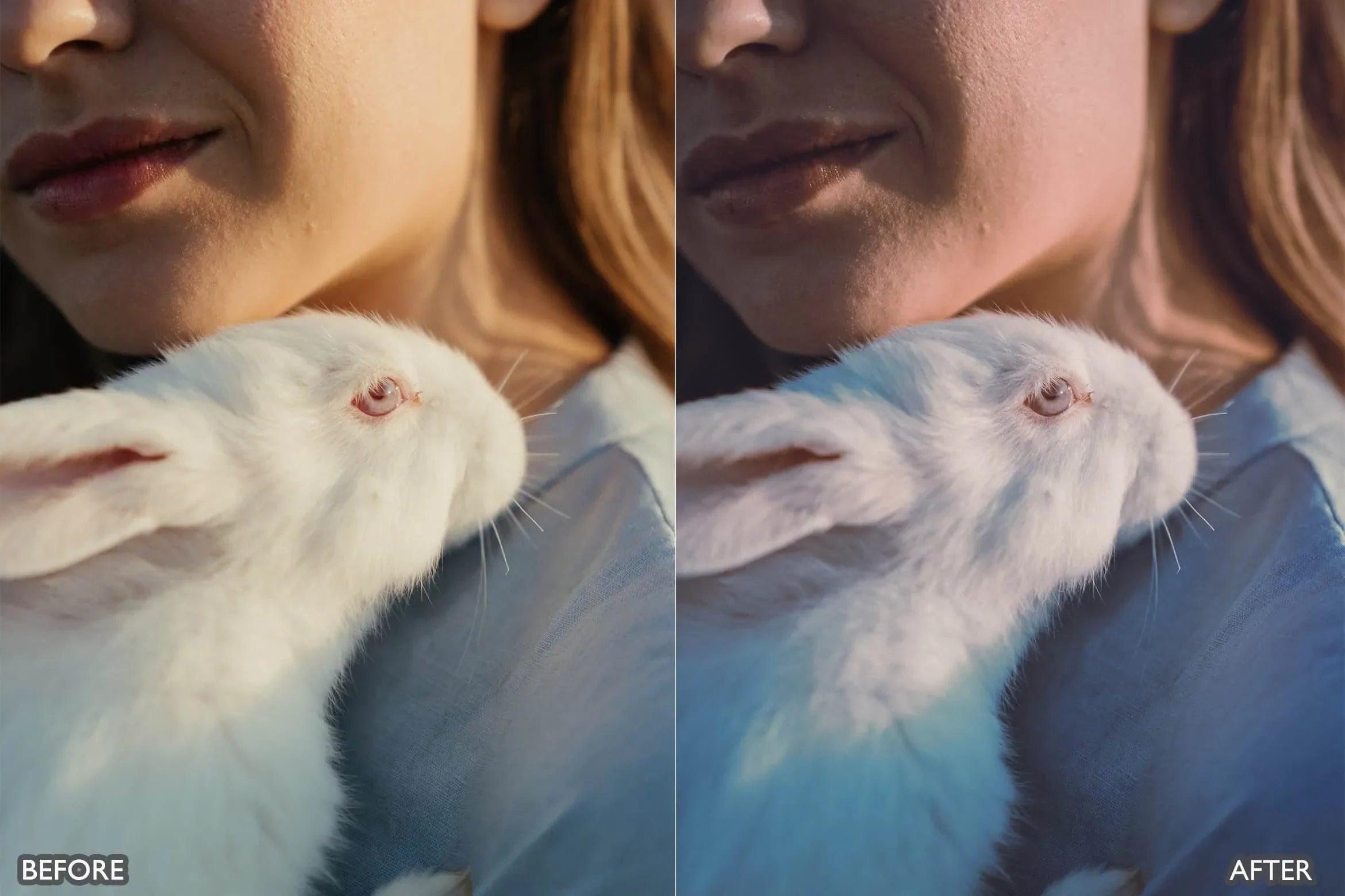 Farm Life Lightroom Presets - Lightroom Presets - by AAA Presets