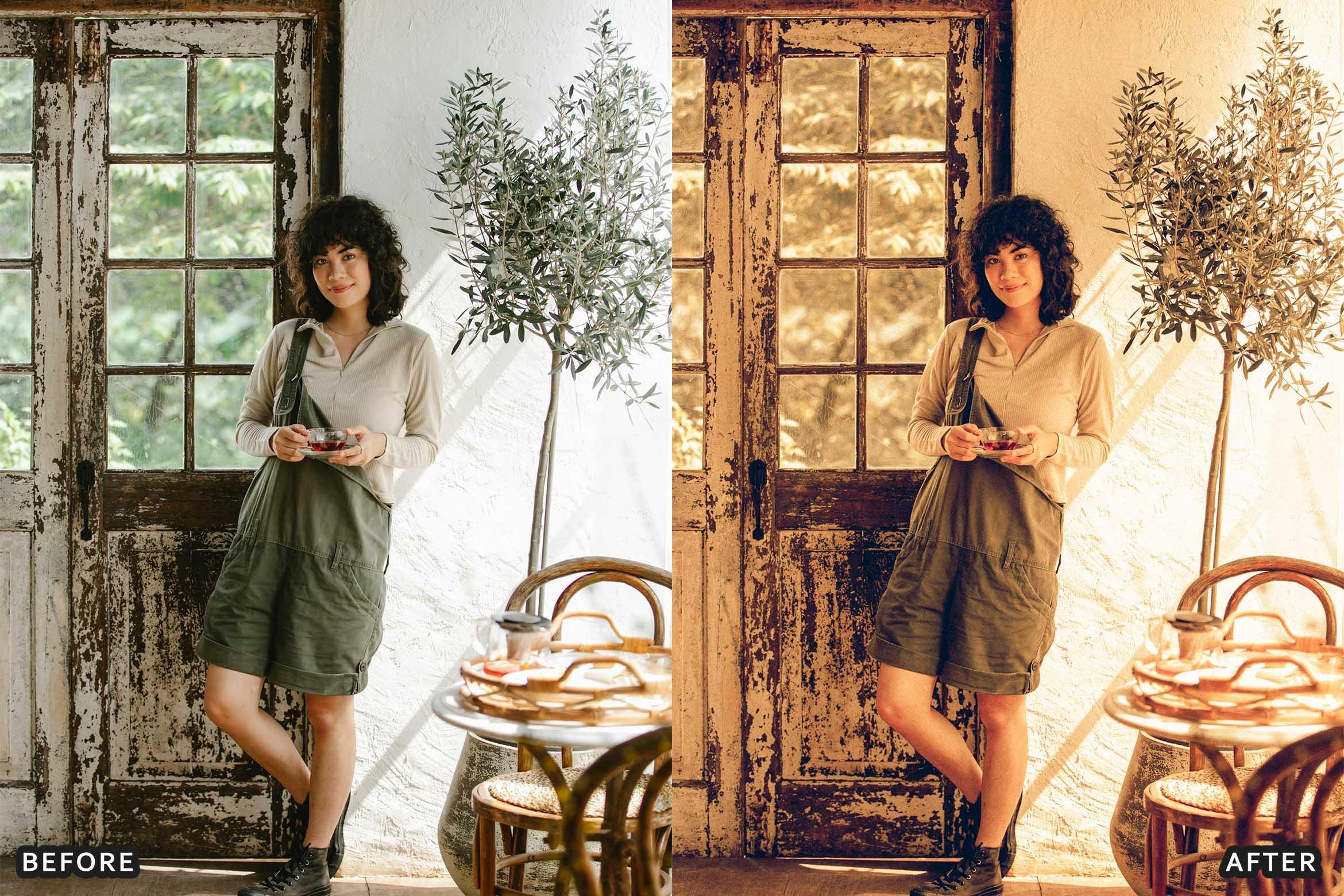 Farm Rustic Lightroom Presets: Enhance Your Rural Photography - Lightroom Presets - by AAA Presets